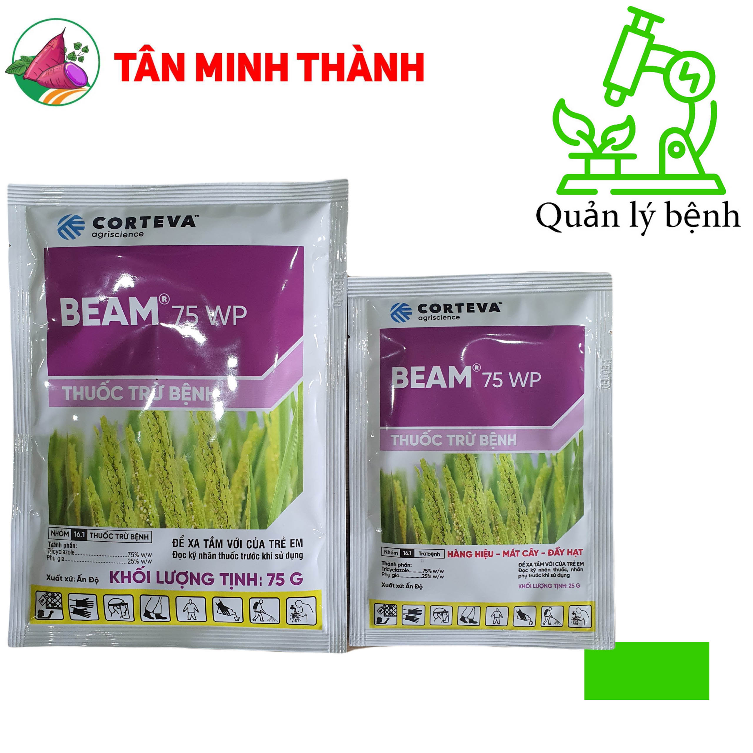 Beam 75WP - Thuốc đặc trị đạo ôn lá, đạo ôn cổ bông