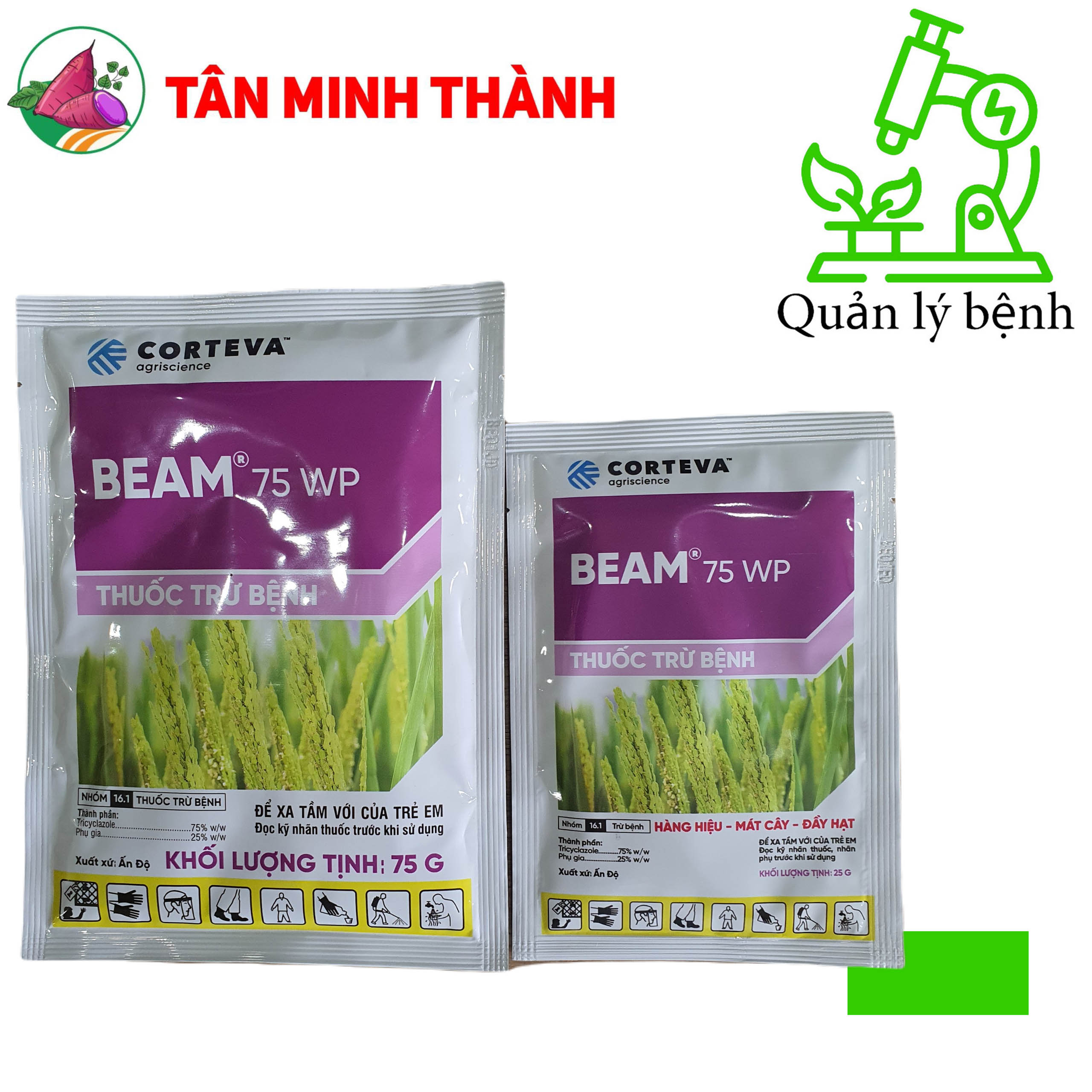Beam 75WP - Thuốc đặc trị đạo ôn lá, đạo ôn cổ bông