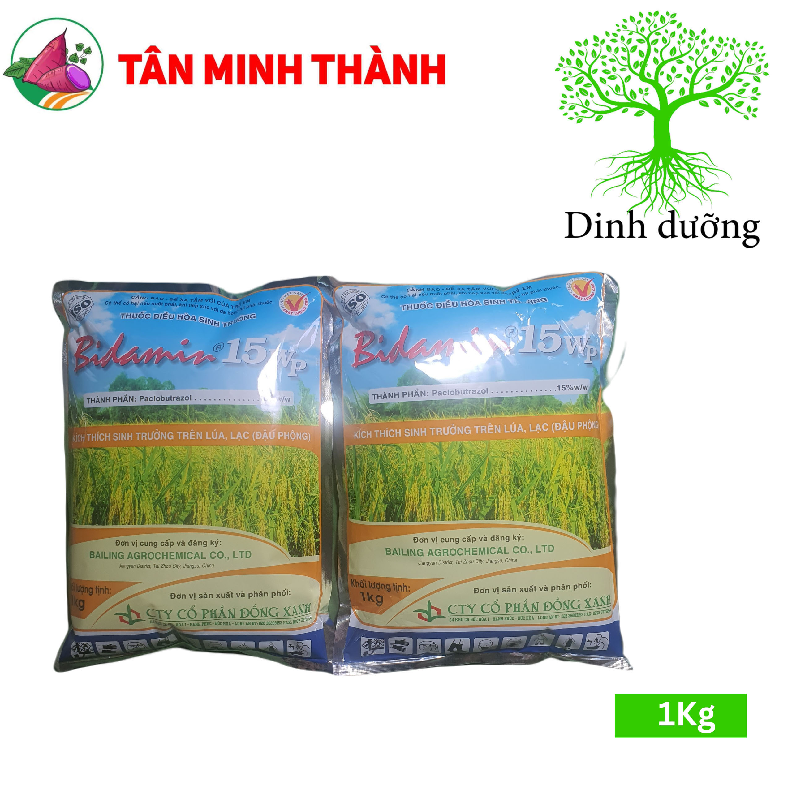Bidamin 15WP - Thuốc kích thích phân hóa mầm hoa, ra hoa đồng loạt, cứng cây, chặn đọt, đứng dây, dày lá