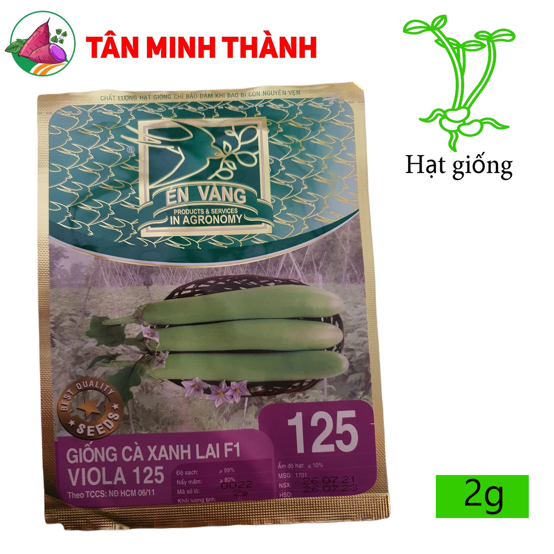 Cà Phổi Xanh VIOLA 125 - Hạt giống Én Vàng