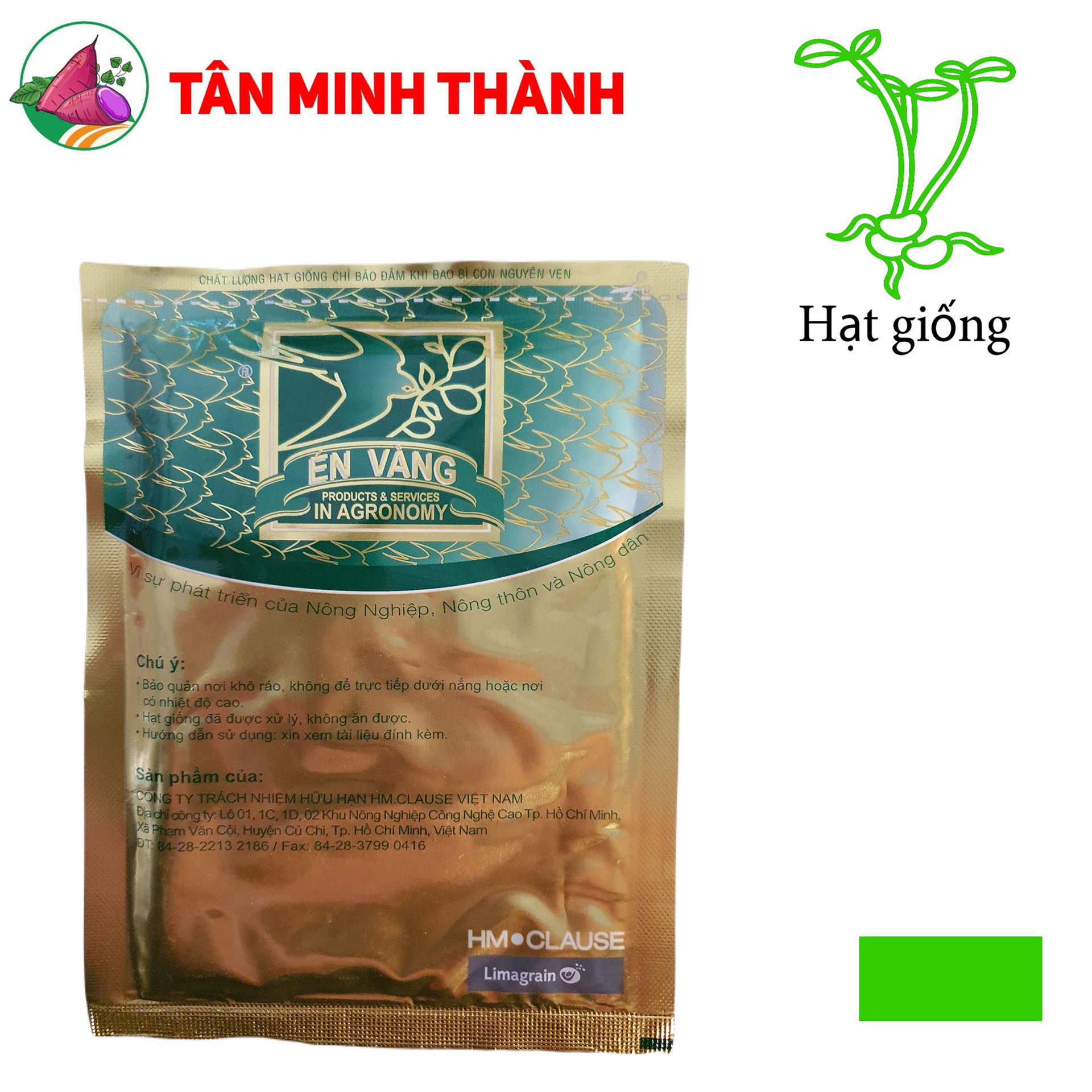Cà Phổi Xanh VIOLA 125 - Hạt giống Én Vàng
