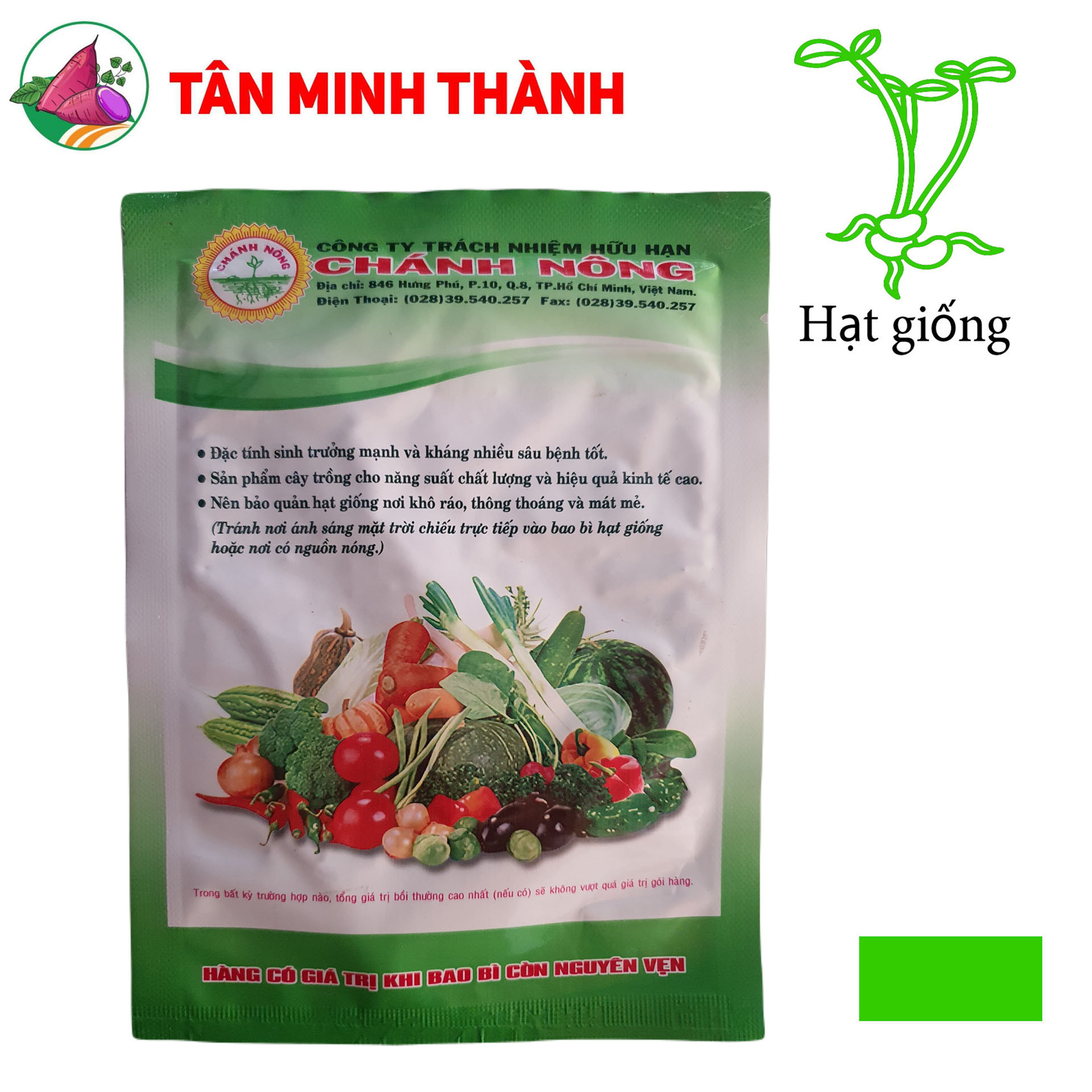 Cải Ngọt Cọng Xanh - Hạt giống Chánh Nông