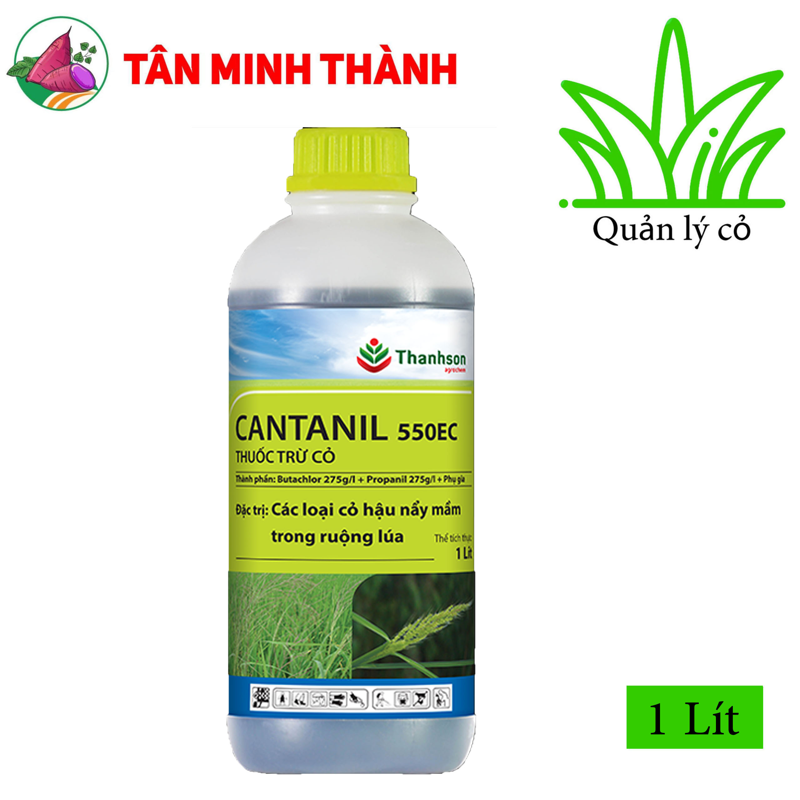 Cantanil 550EC - Thuốc trừ cỏ hậu nảy mầm, đặc trị cỏ chác lác, rau mác bao, cỏ xà bông