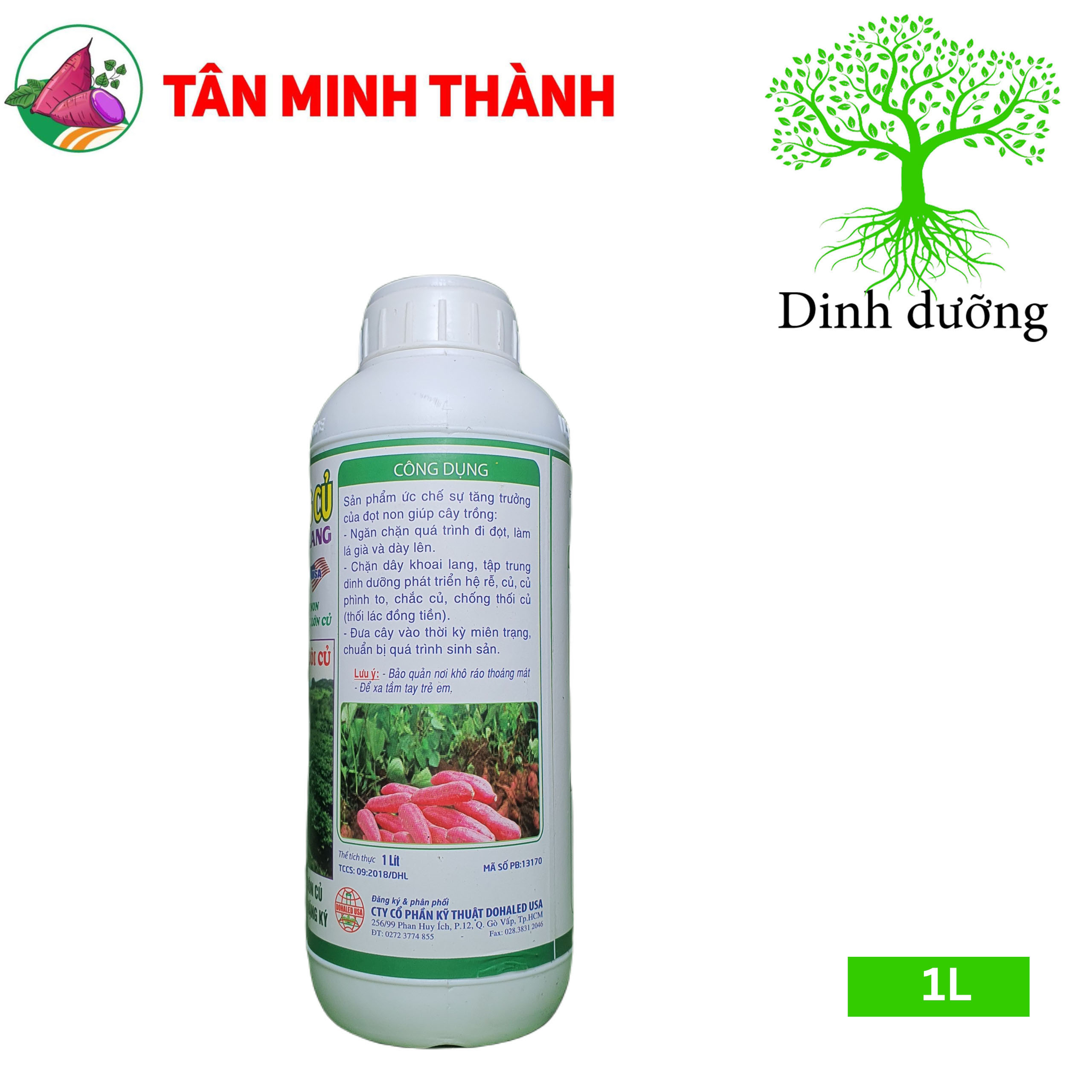 Chặn Dây Xuống Củ Khoai Lang - Thuốc đứng dây, tạo củ, to củ, suôn củ, chắc củ, lớn phì củ, nặng ký, chống thối củ