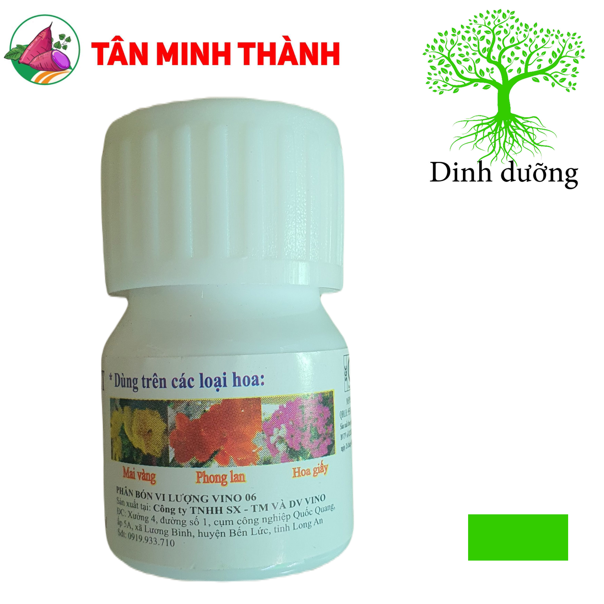 THUỐC KÍCH THÍCH NỞ HOA MAI AQ53 BLOOM LÀM HOA ĐỒNG LOẠT TO VÀ RỰC RỠ