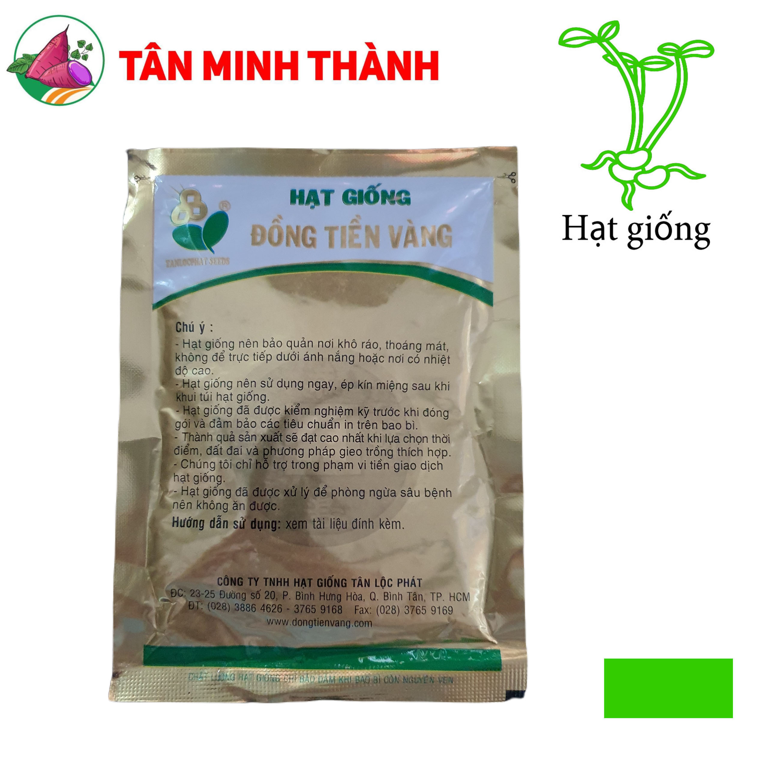 Đậu Bắp GOLD STAR 204 - Hạt giống Đồng Tiền Vàng
