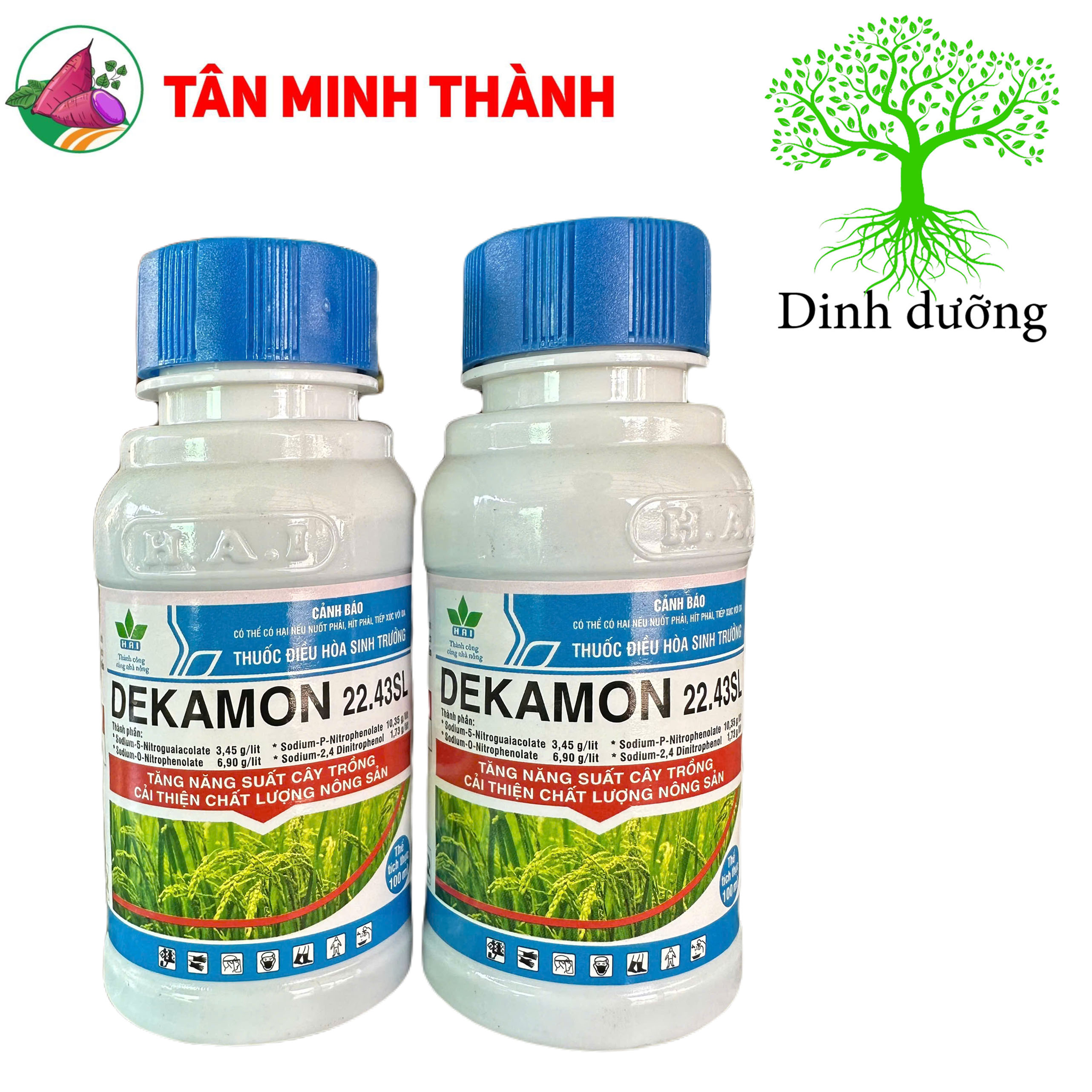 Dekamon 22.43SL - Thuốc ra rễ, tốt cây, nở bụi, tăng năng suất
