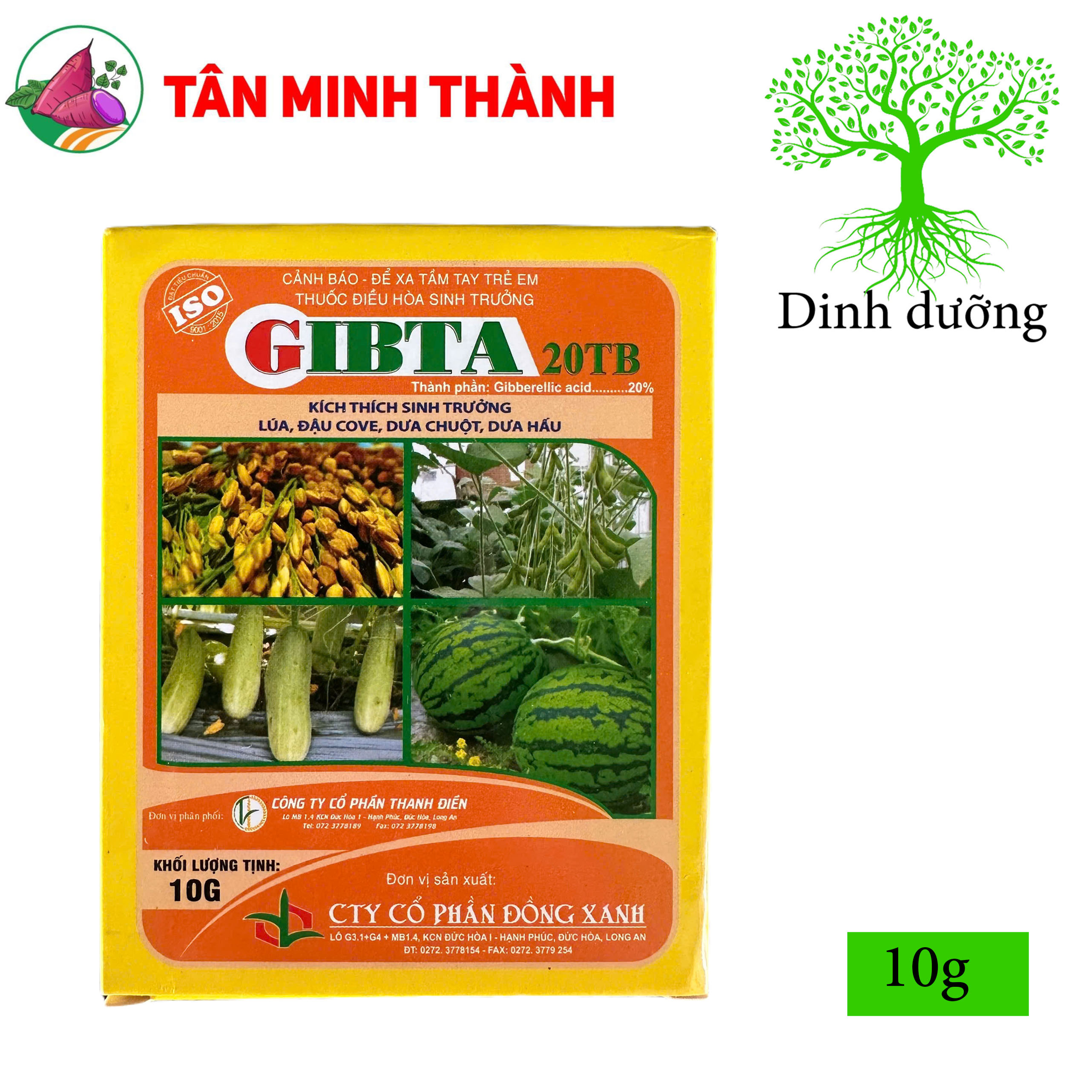 Ga3 Cao Cấp Gibta T20 - Thuốc kích thích sinh trưởng, to trái, vọt đọt