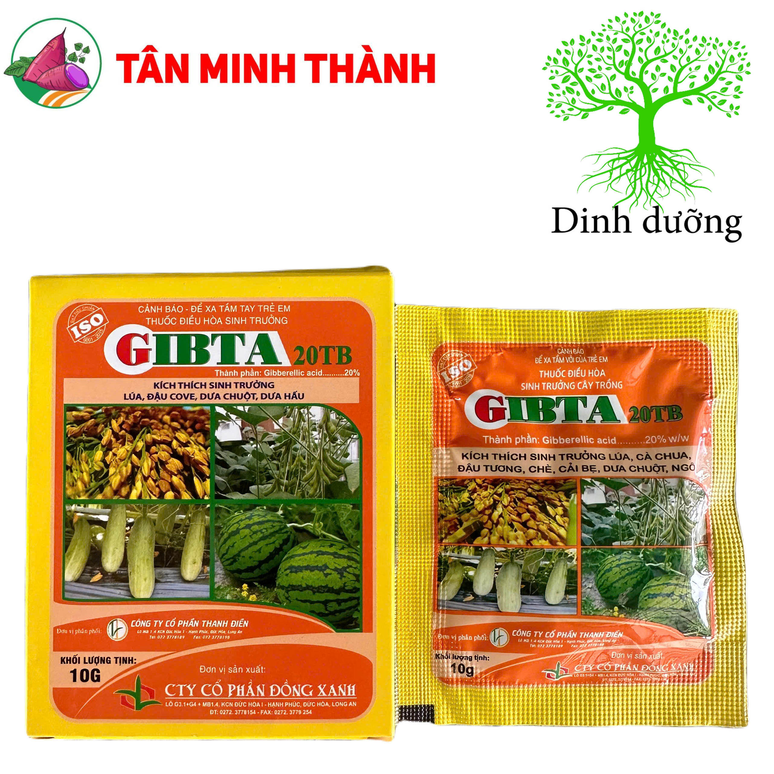 Ga3 Cao Cấp Gibta T20 - Thuốc kích thích sinh trưởng, to trái, vọt đọt