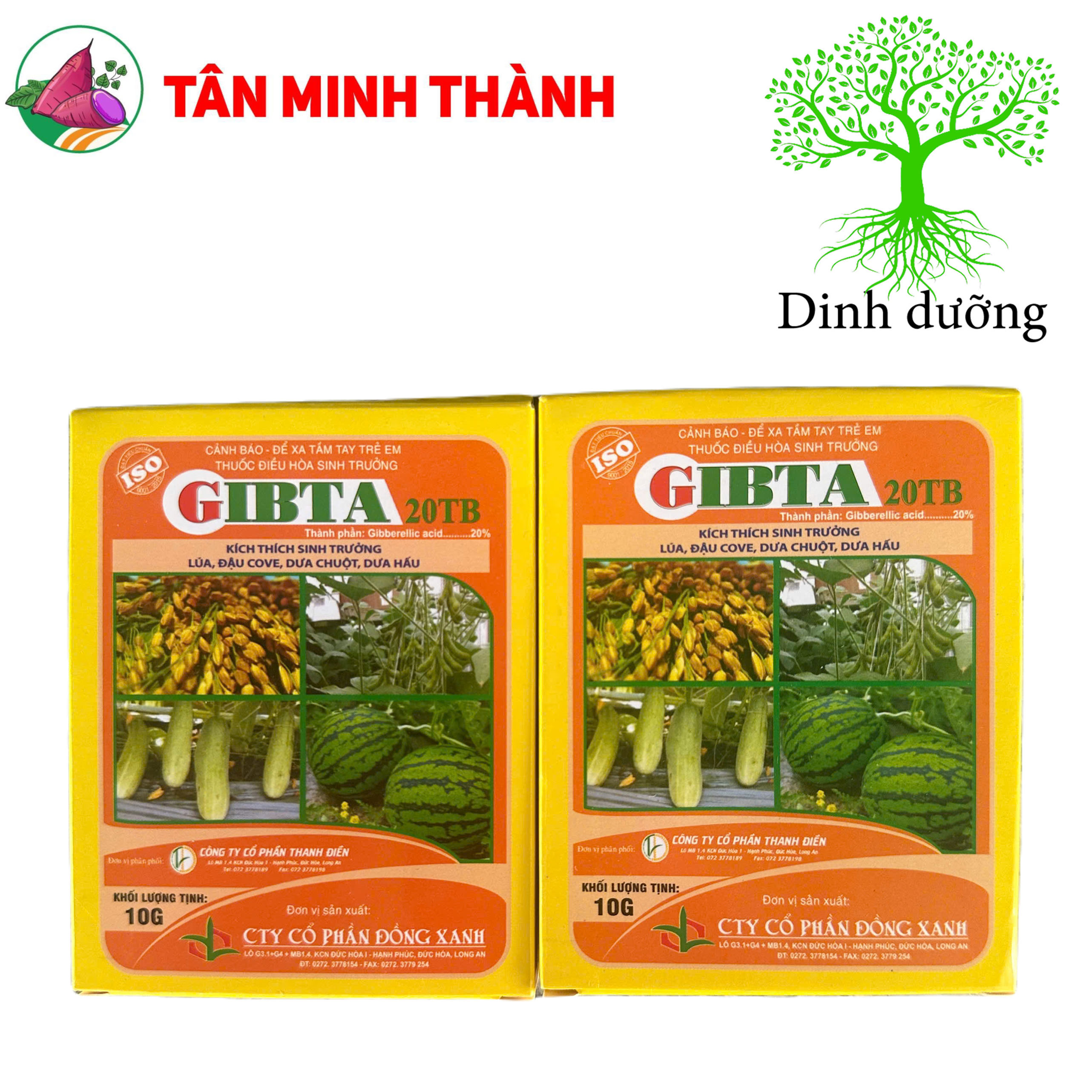 Ga3 Cao Cấp Gibta T20 - Thuốc kích thích sinh trưởng, to trái, vọt đọt
