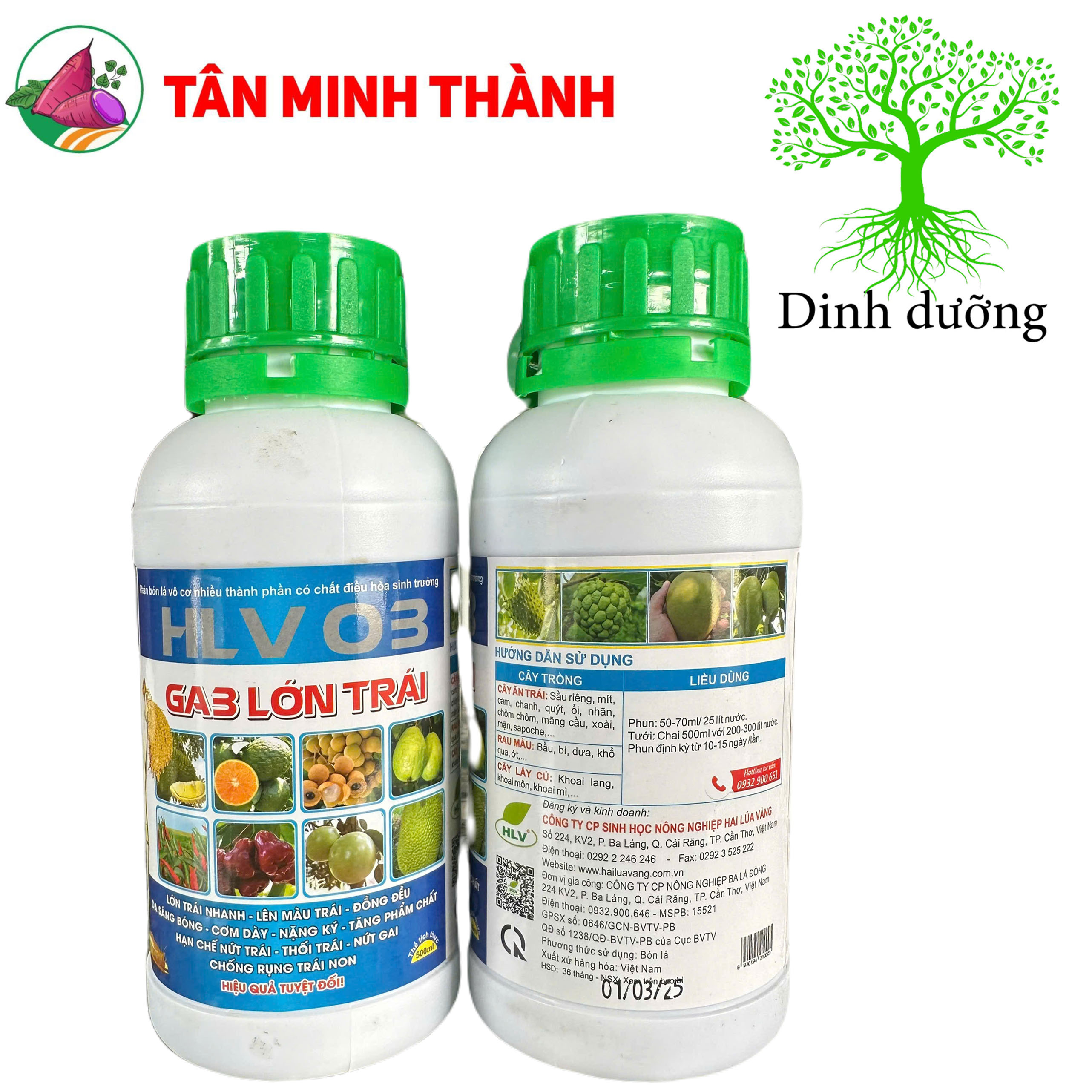 Ga3 Lớn Trái HLV 03 - Thuốc to trái, lên màu, nặng ký, cơm dầy