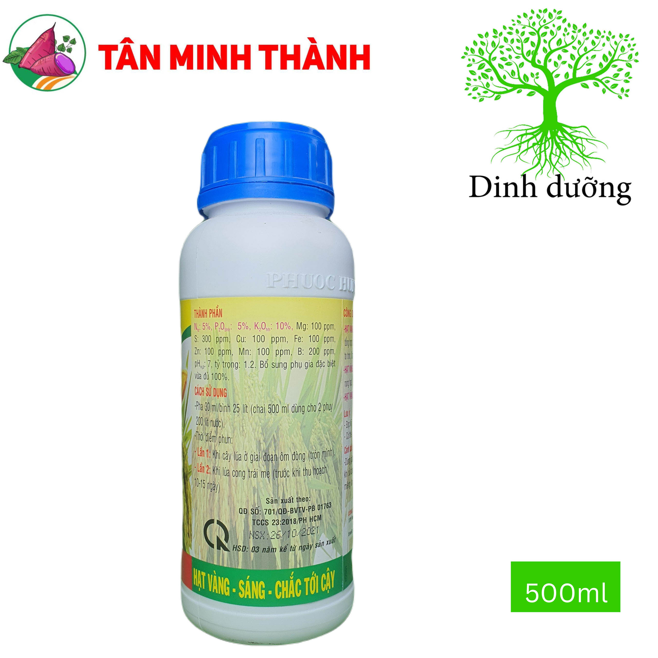 Hạt Vàng Đầu Bò Foli4 - Siêu to hạt, vô gạo, chắc tới cậy, trổ nhanh, đồng loạt, cứng câ, chống nghẹn đồng