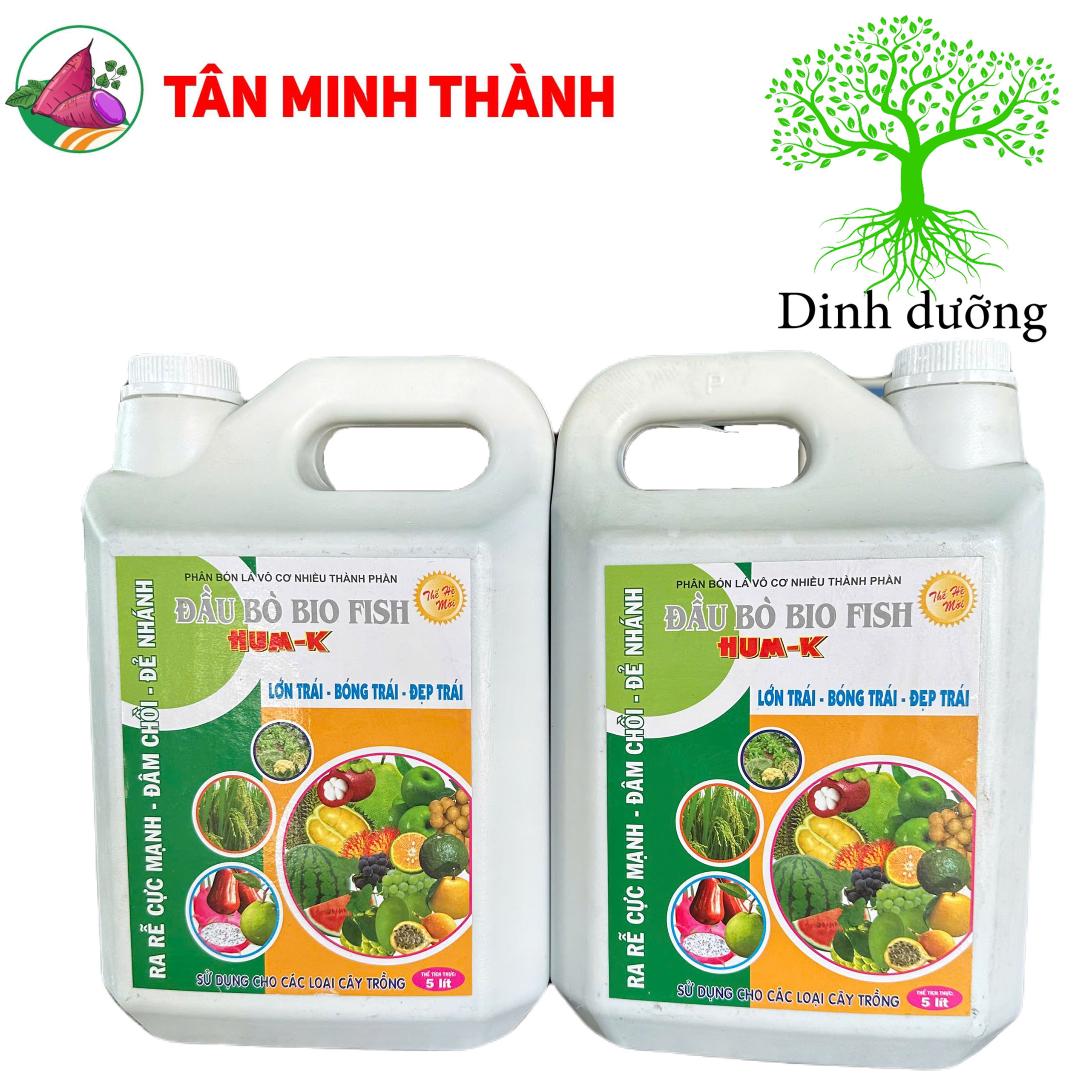 Hum K Đầu Bò Biofish - Thuốc lớn trái, bóng trái, đẹp trái