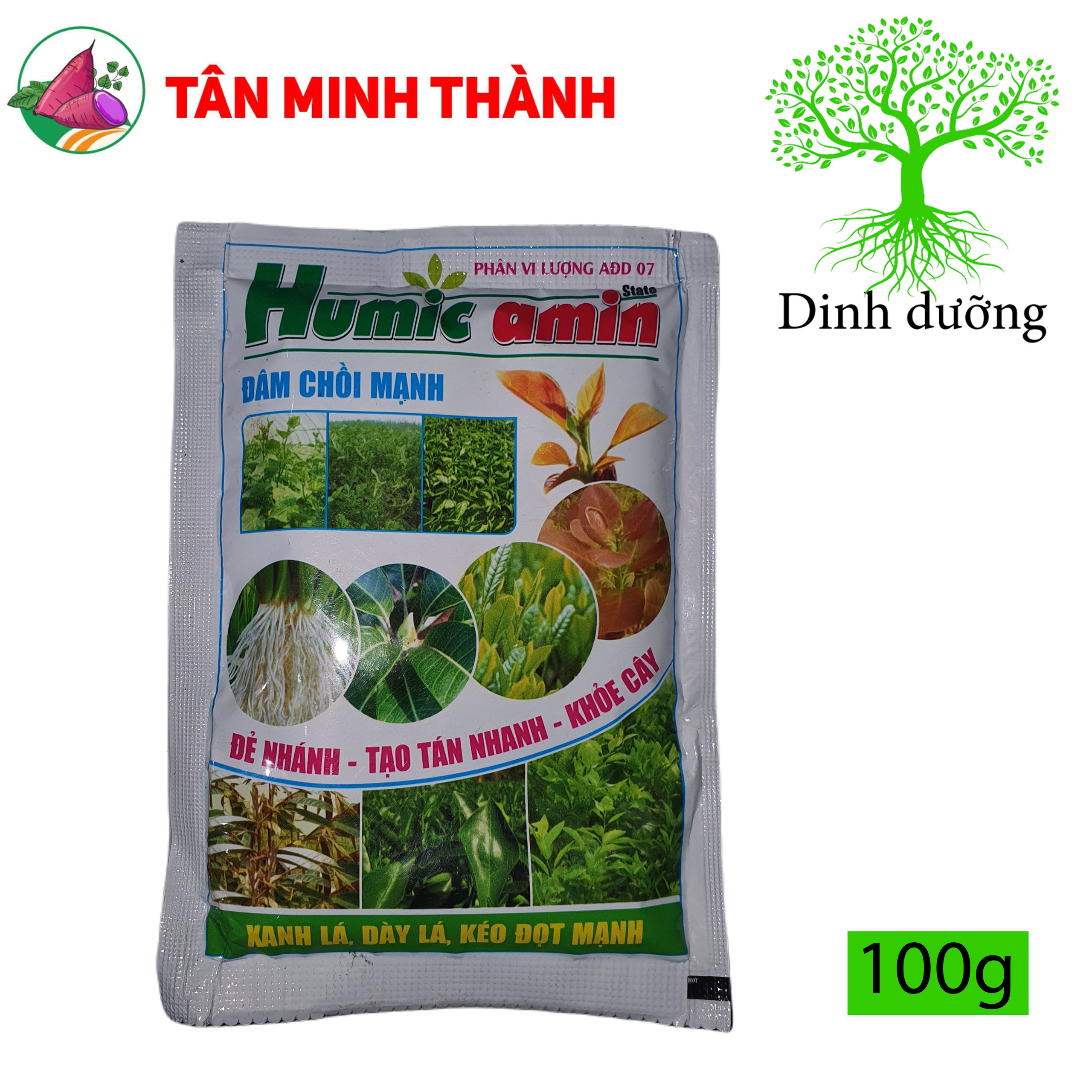 Humic Amin - Thuốc đâm chồi mạnh, đẻ nhánh tạo tán nhanh, kéo đọt, xanh lá, dày lá