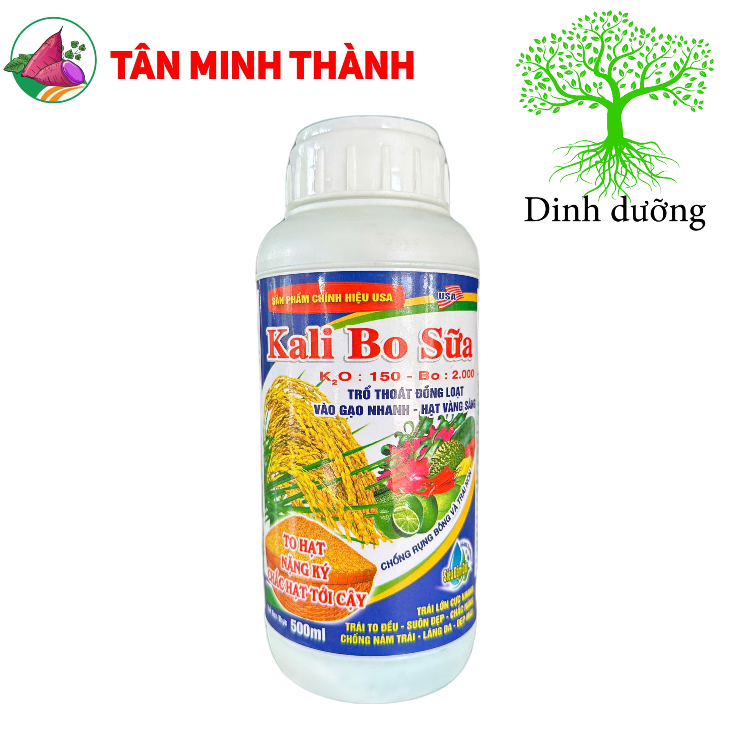 Kali Bo Sữa Lino AA - Thuốc vô gạo, sáng hạt, trổ đồng loạt