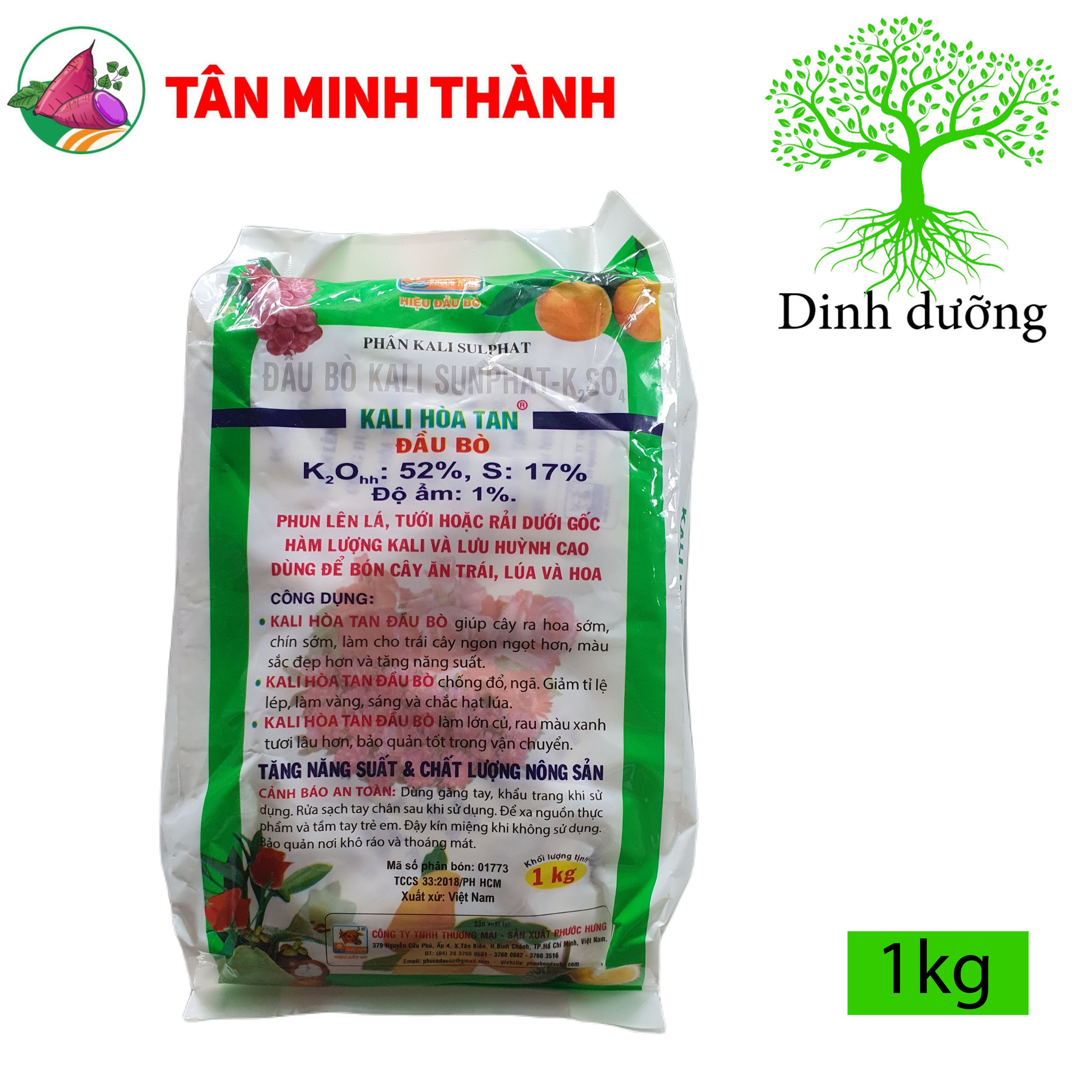 Kali Hòa Tan Đầu Bò - Giúp lớn củ, nặng ký, ngọt trái, đẹp màu, bóng da, to hạt, chống đổ ngã