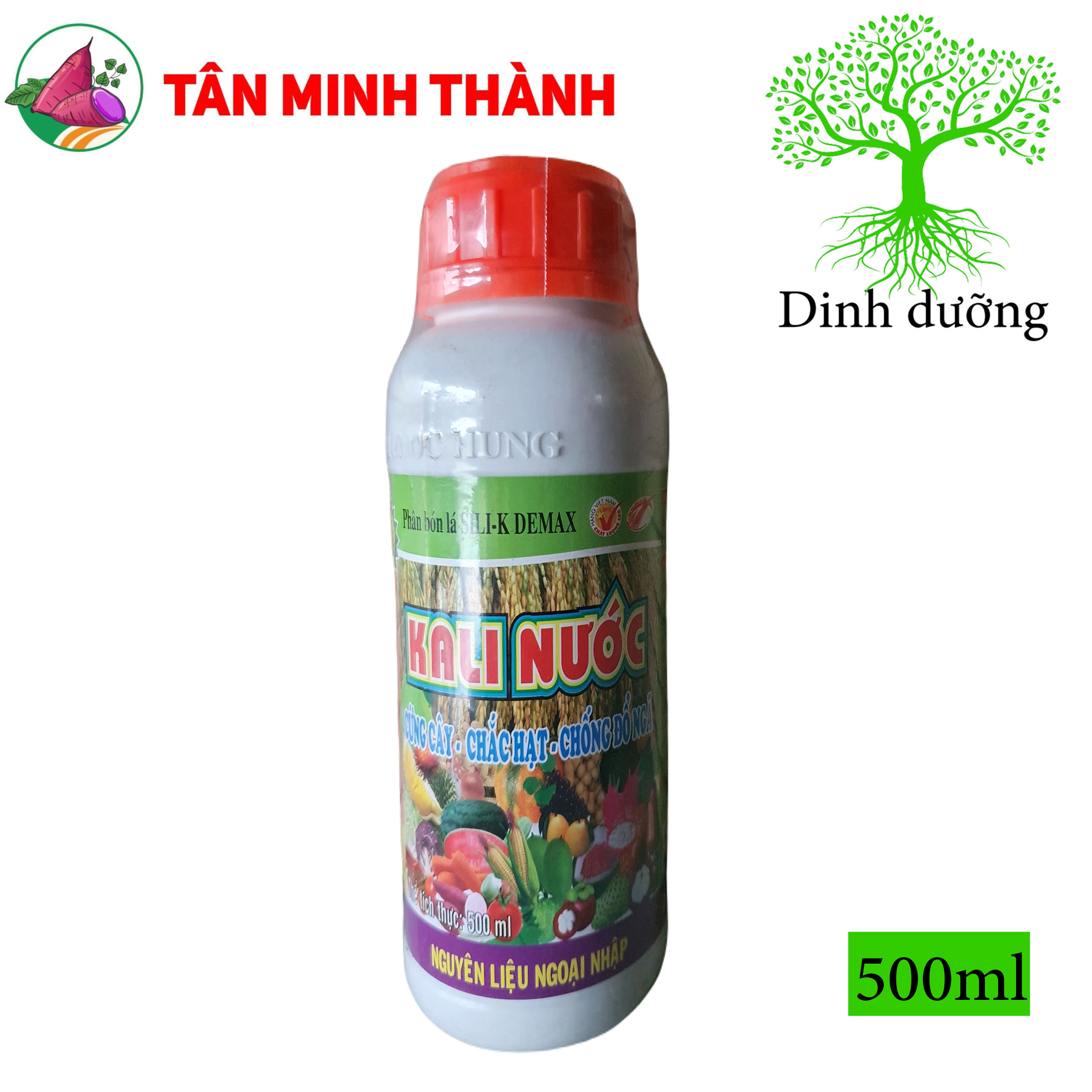 Kali Nước - Thuốc cứng cây, to hạt, chắc hạt, to củ, nặng củ, lớn trái, phì trái, bóng da, đẹp màu, nặng ký