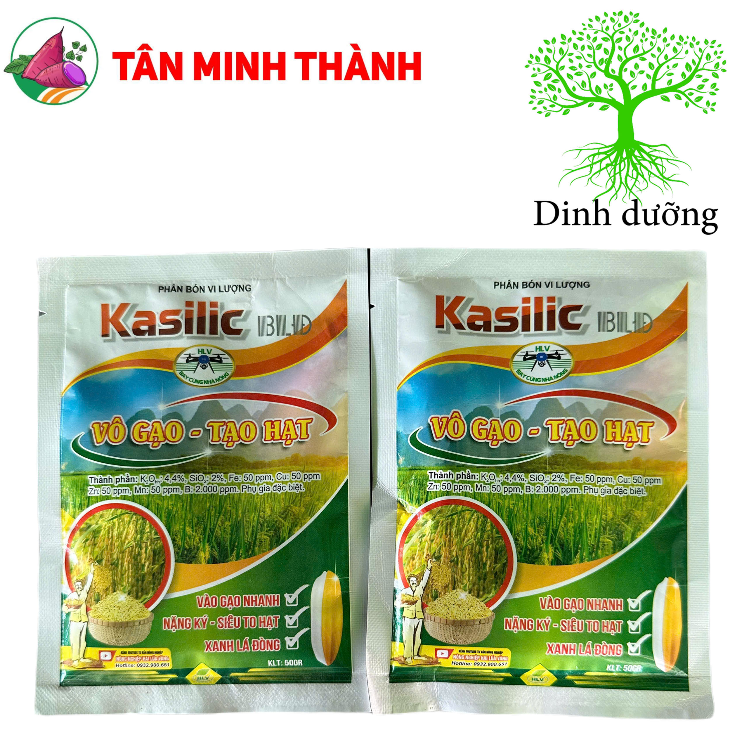 Kasilic BLĐ Vô Gạo Tạo Hạt - Thuốc to hạt, xanh lá đồng