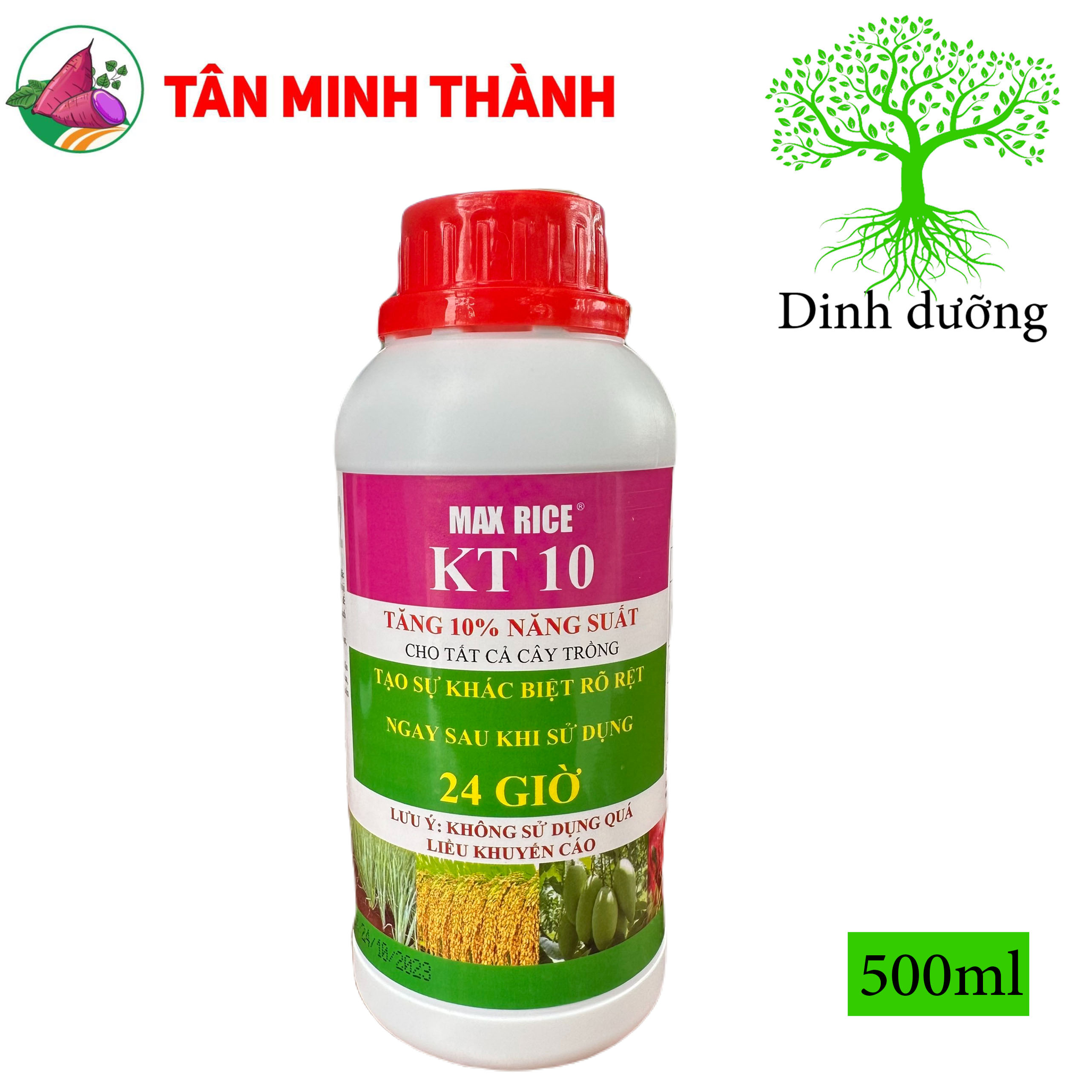 MaxRice KT10 - Thuốc tăng 10% năng suất, trổ bông, to hạt, bung chồi, ra hoa, to trái, đẹp màu, nặng ký, giảm nghẽn đầu lân