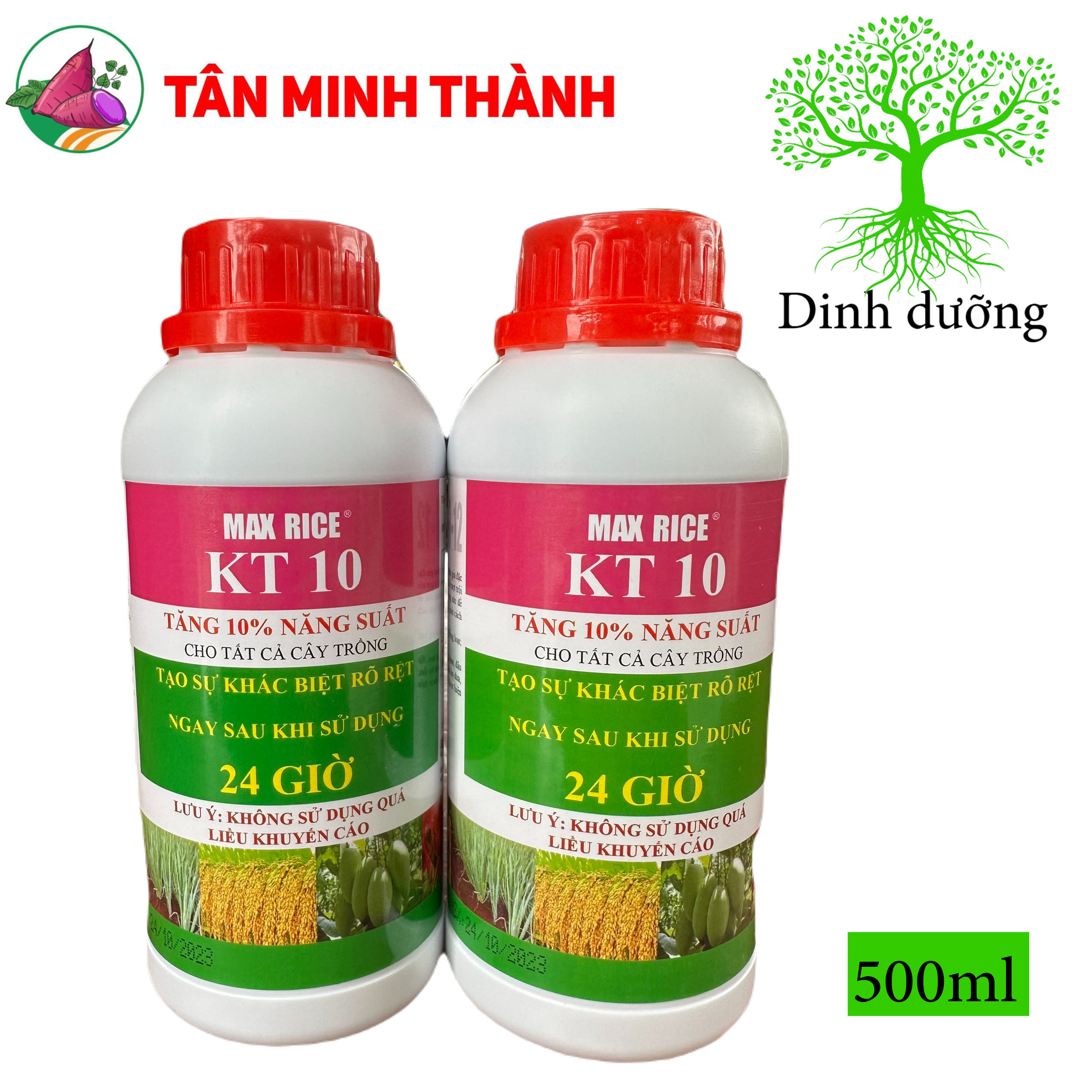 MaxRice KT10 - Thuốc tăng 10% năng suất, trổ bông, to hạt, bung chồi, ra hoa, to trái, đẹp màu, nặng ký, giảm nghẽn đầu lân