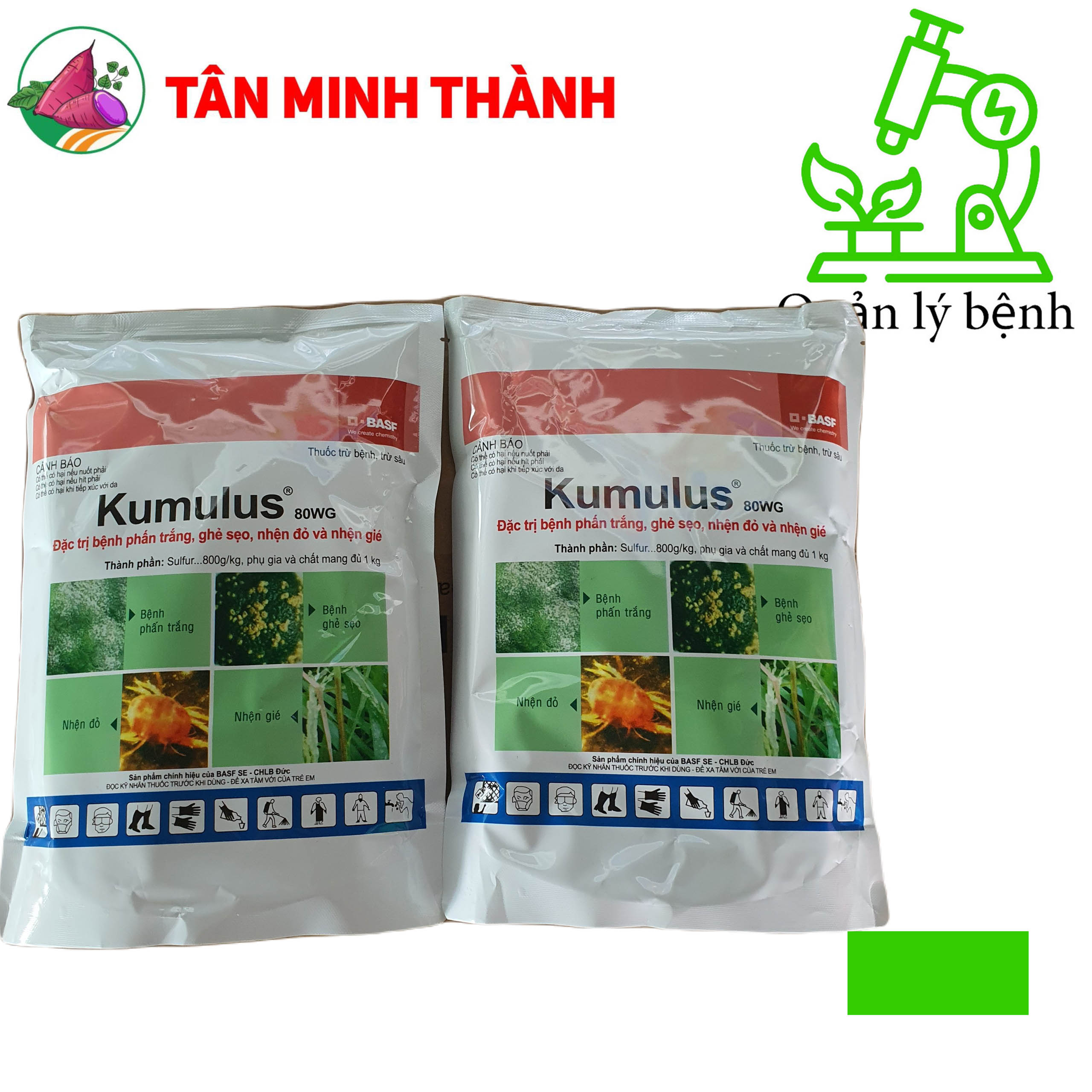 Kumulus 80WG - Thuốc đặc trị ghẻ sẹo, nhện đỏ, nhện gié, phấn trắng