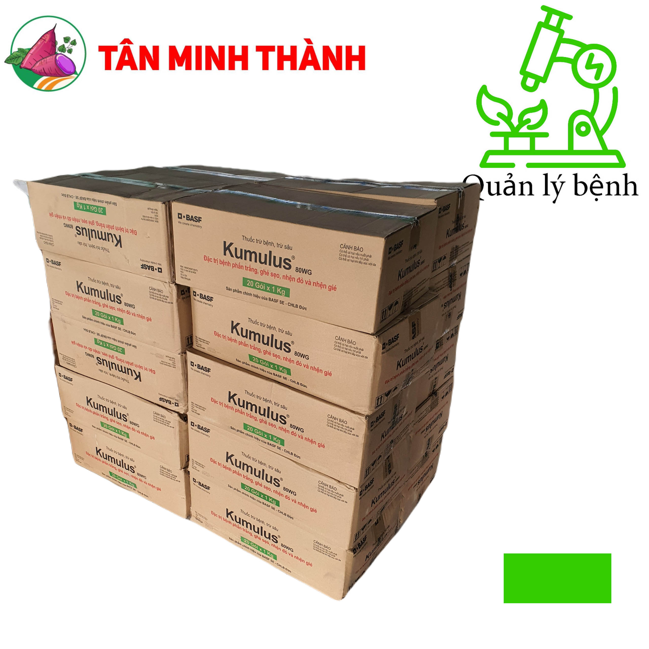 Kumulus 80WG - Thuốc đặc trị ghẻ sẹo, nhện đỏ, nhện gié, phấn trắng