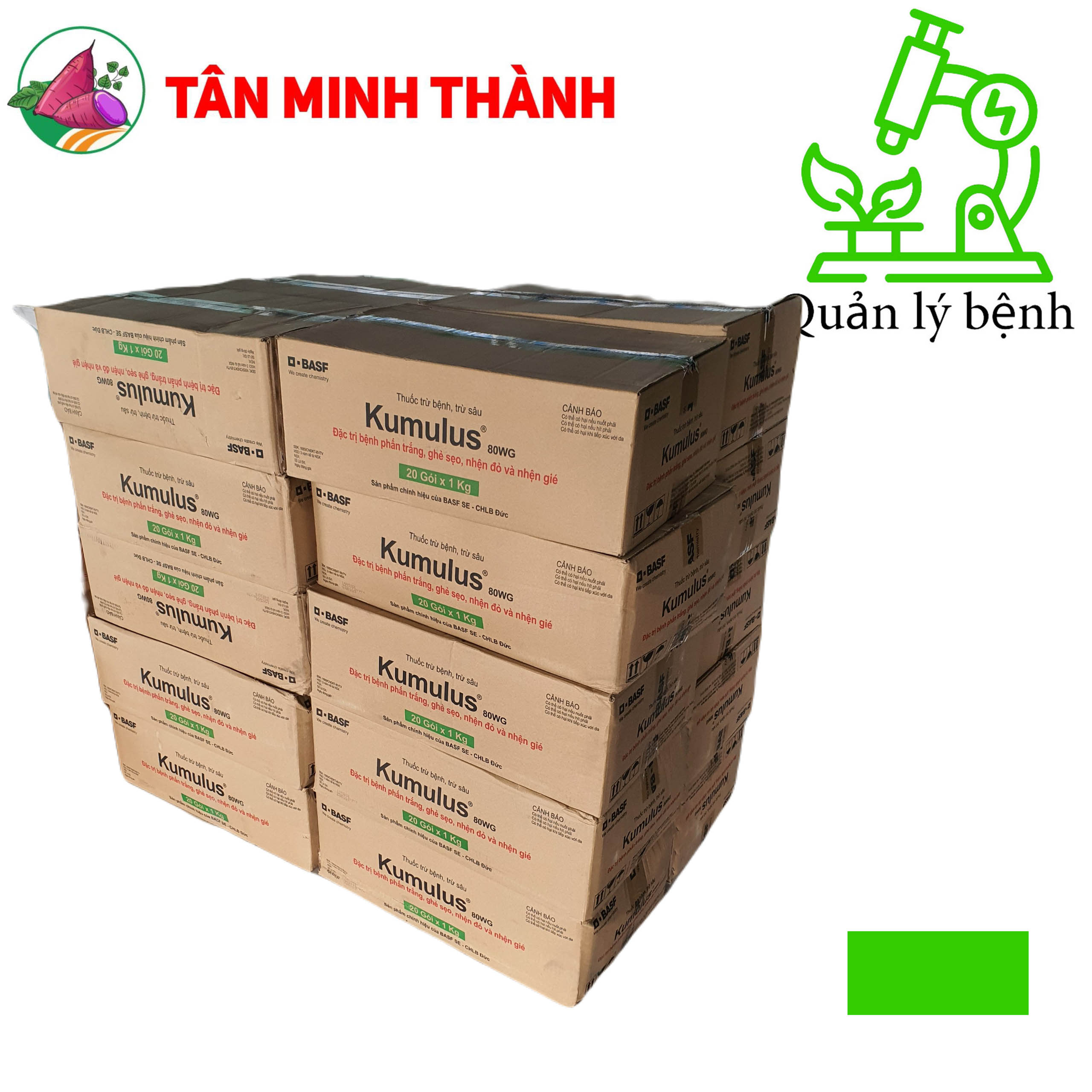 Kumulus 80WG - Thuốc đặc trị ghẻ sẹo, nhện đỏ, nhện gié, phấn trắng