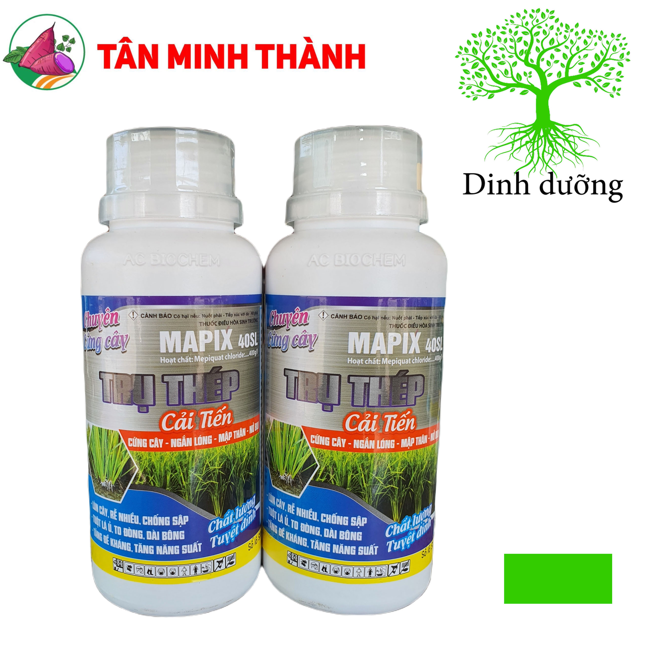 Mapix 40SL Trụ Thép Cải Tiến - Thuốc cứng cây, ngắn lóng, mập thân, nở bụi, ra rễ, to đòng, kích kháng