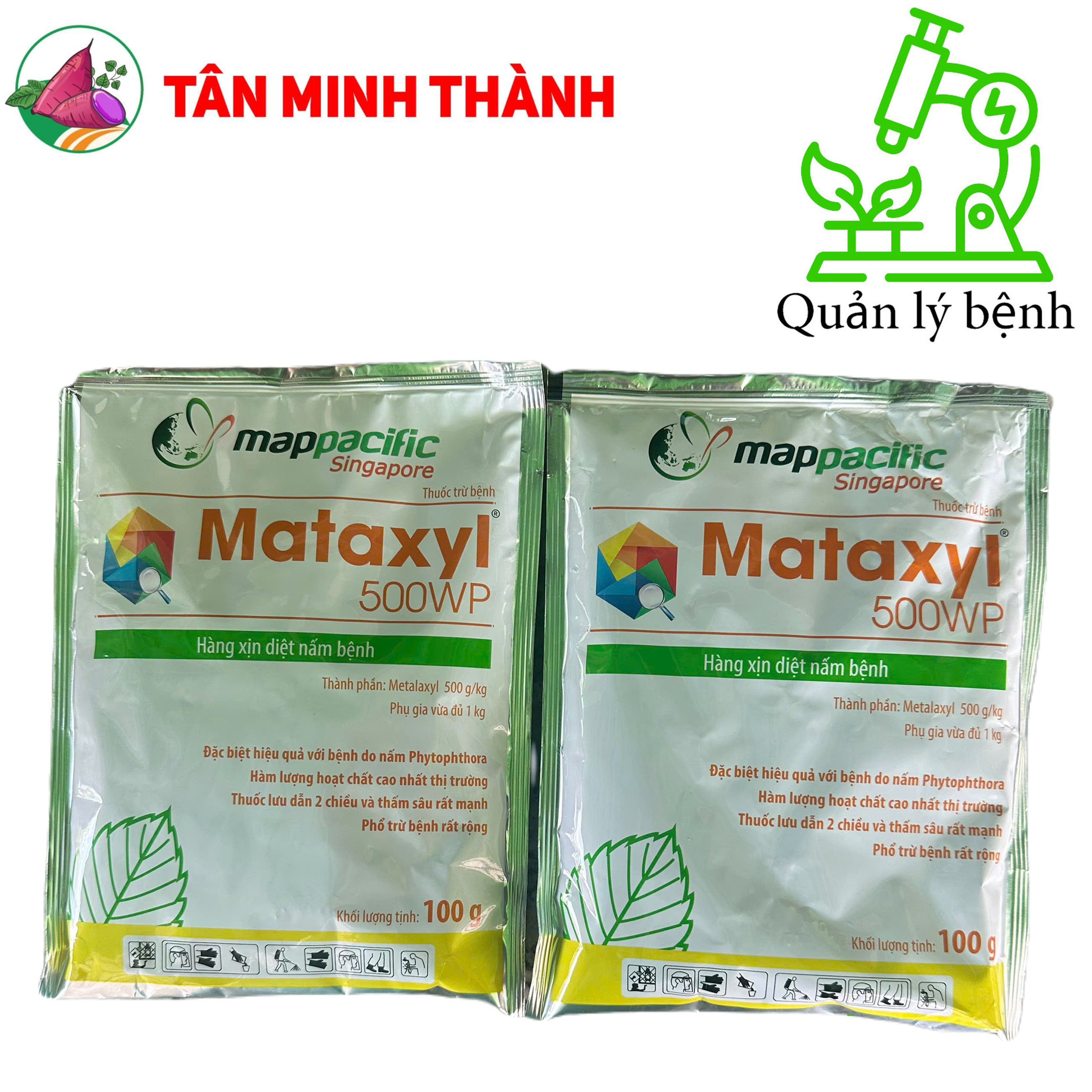 Mataxyl 500WP - Thuốc trừ bệnh vàng rụng lá, sương mai, thối trái, phấn trắng, héo nhan, loét sọc mặt cạo