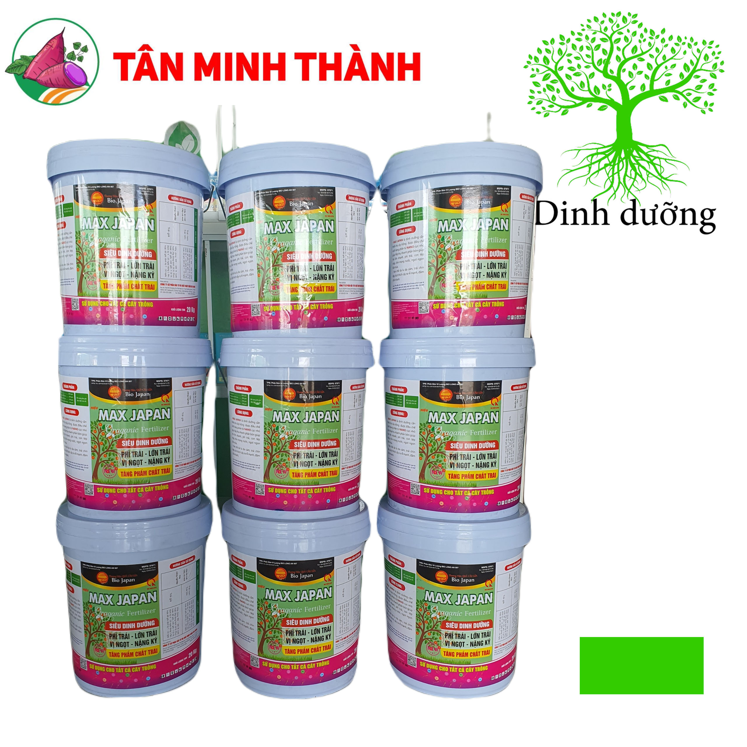 Max Japan - Giúp phì trái, lớn trái, vị ngọt, nặng ký, to trái, bóng trái
