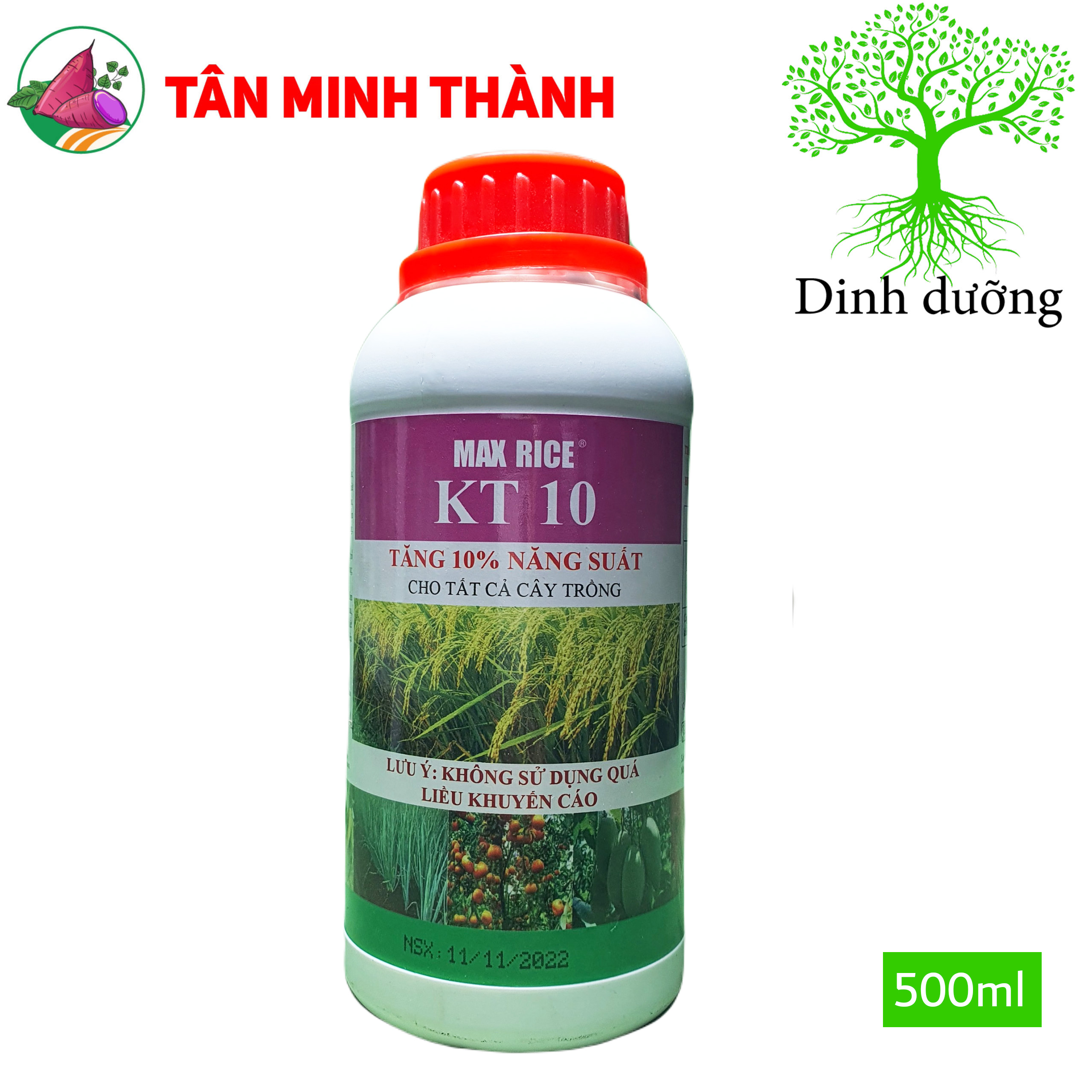 MaxRice KT10 - Thuốc tăng 10% năng suất, trổ bông, to hạt, bung chồi, ra hoa, to trái, đẹp màu, nặng ký, giảm nghẽn đầu lân