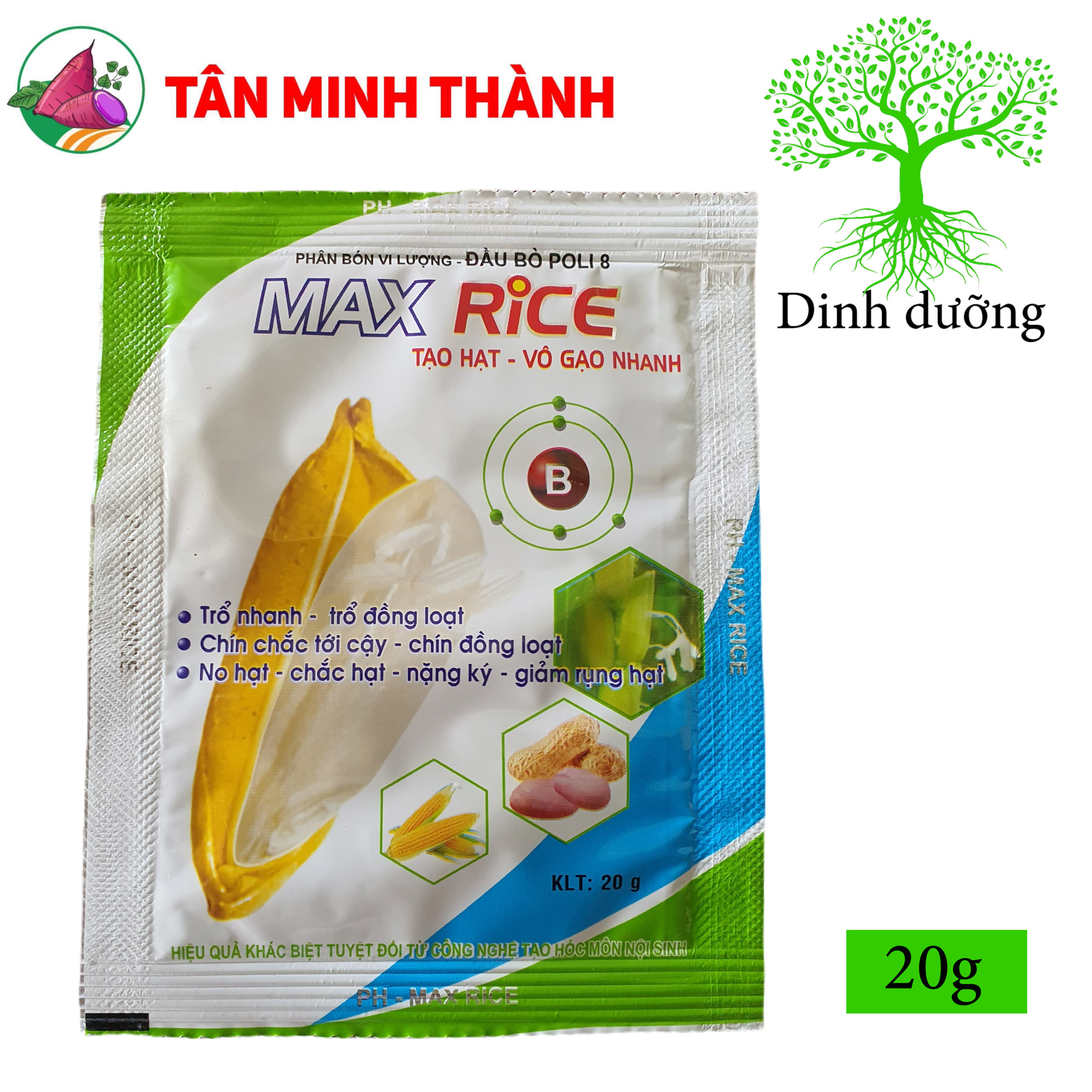Max Rice To Hạt - Thuốc tạo hạt, vô gạo nhanh, trổ đồng loạt, chín chắc tới cậy, chín đồng loạt, nặng ký