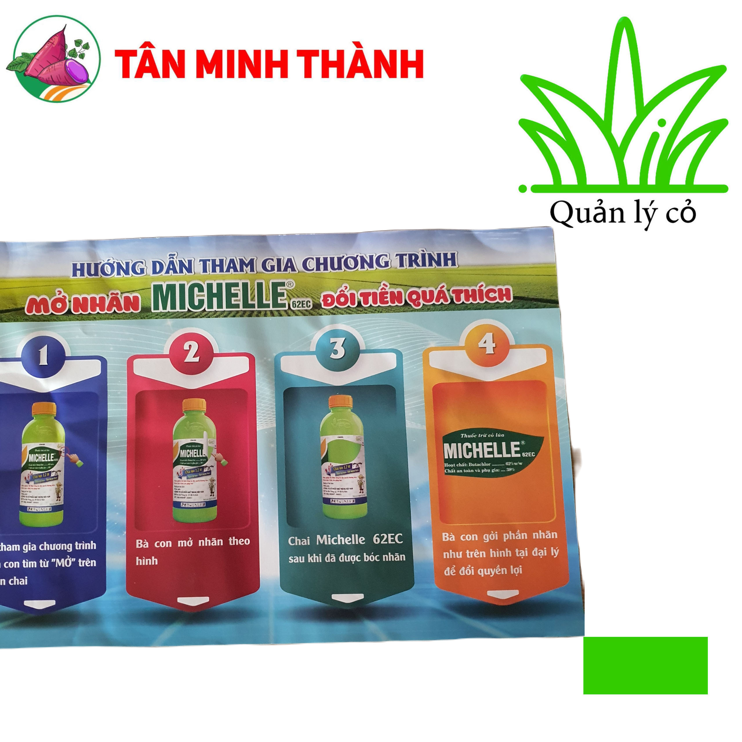 Michelle 62EC - Thuốc trừ cỏ diệt mầm lúa, đặc trị lúa lộn, cỏ chác lác, cỏ lá rộng, cỏ lồng vực, cỏ đuôi phụng