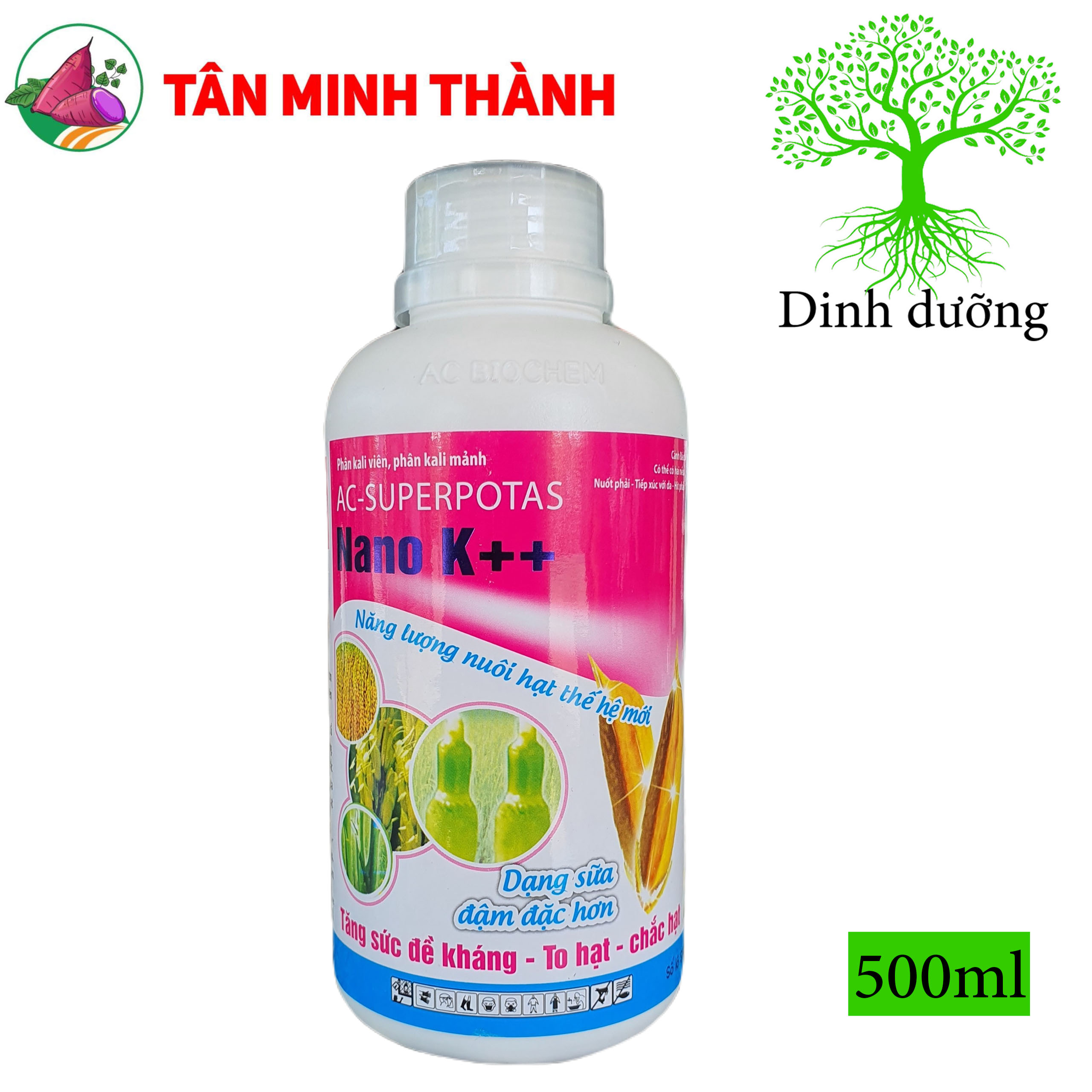 Nano K++ - Thuốc cứng cây, đứng lá, chống ngã, trổ đồng loạt, vô gạo, chắc hạt, to hạt, nặng ký, sáng hạt