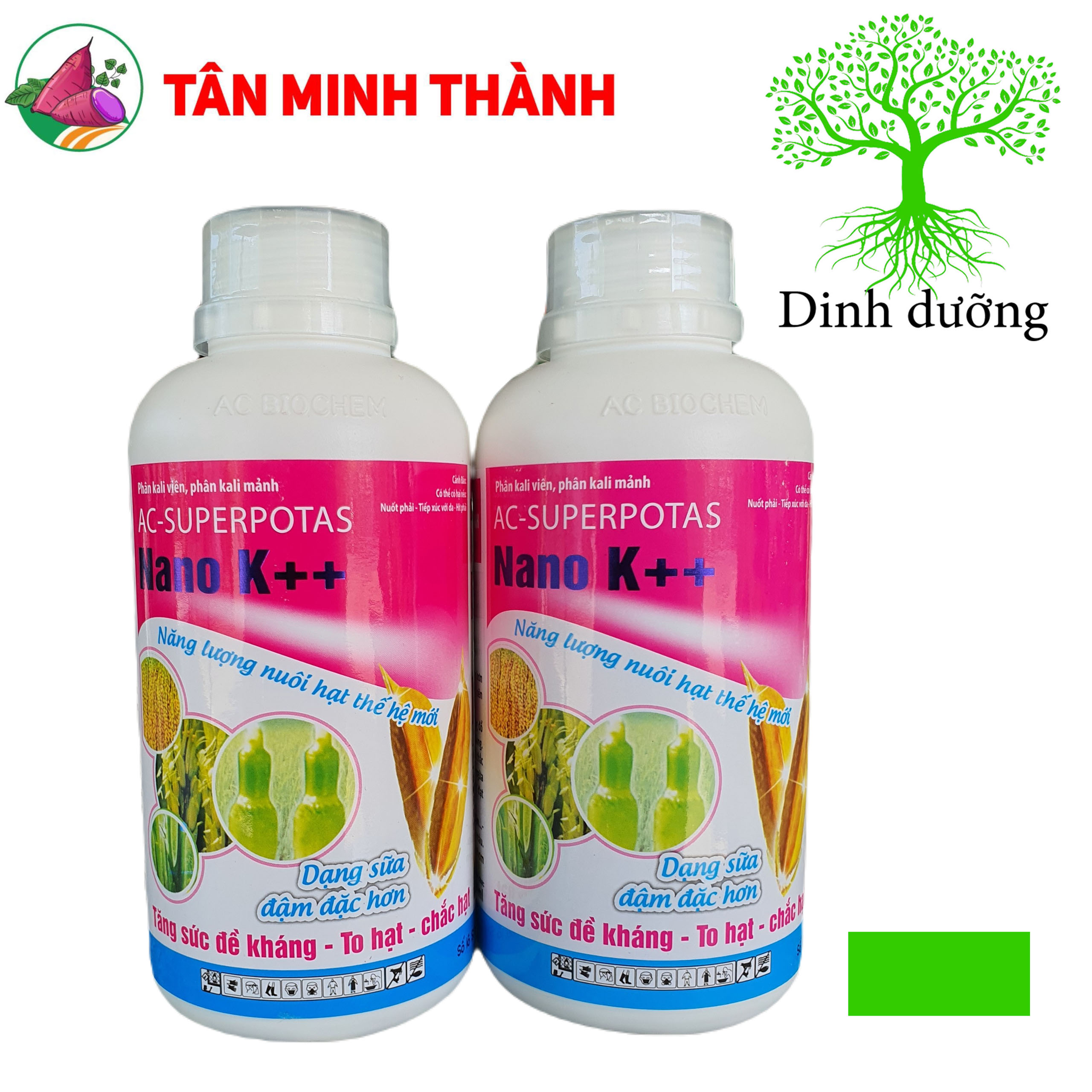 Nano K++ - Thuốc cứng cây, đứng lá, chống ngã, trổ đồng loạt, vô gạo, chắc hạt, to hạt, nặng ký, sáng hạt