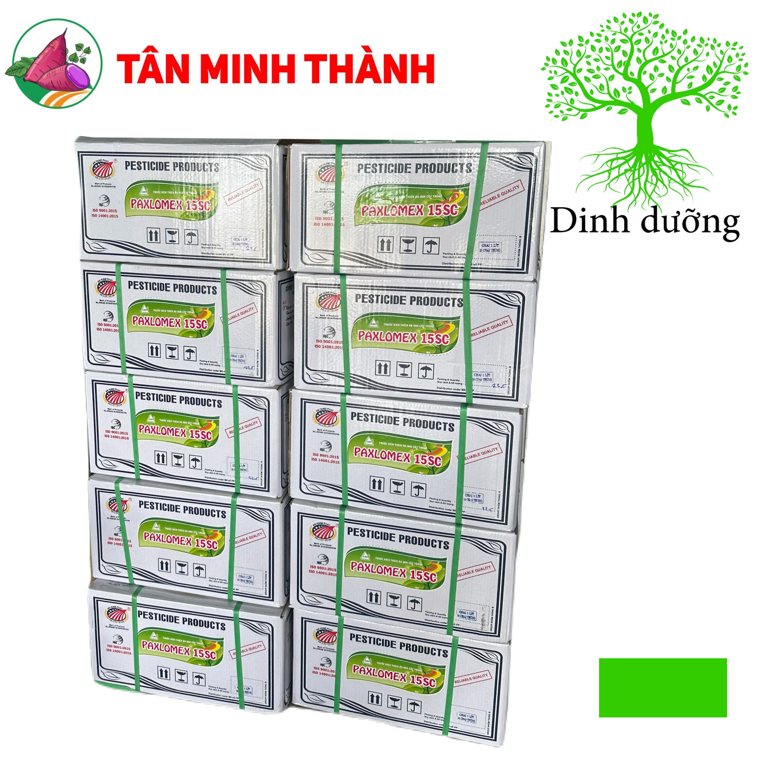 Paxlomex 15SC - Thuốc paclo chặn đọt, tạo mầm hoa, cứng cây