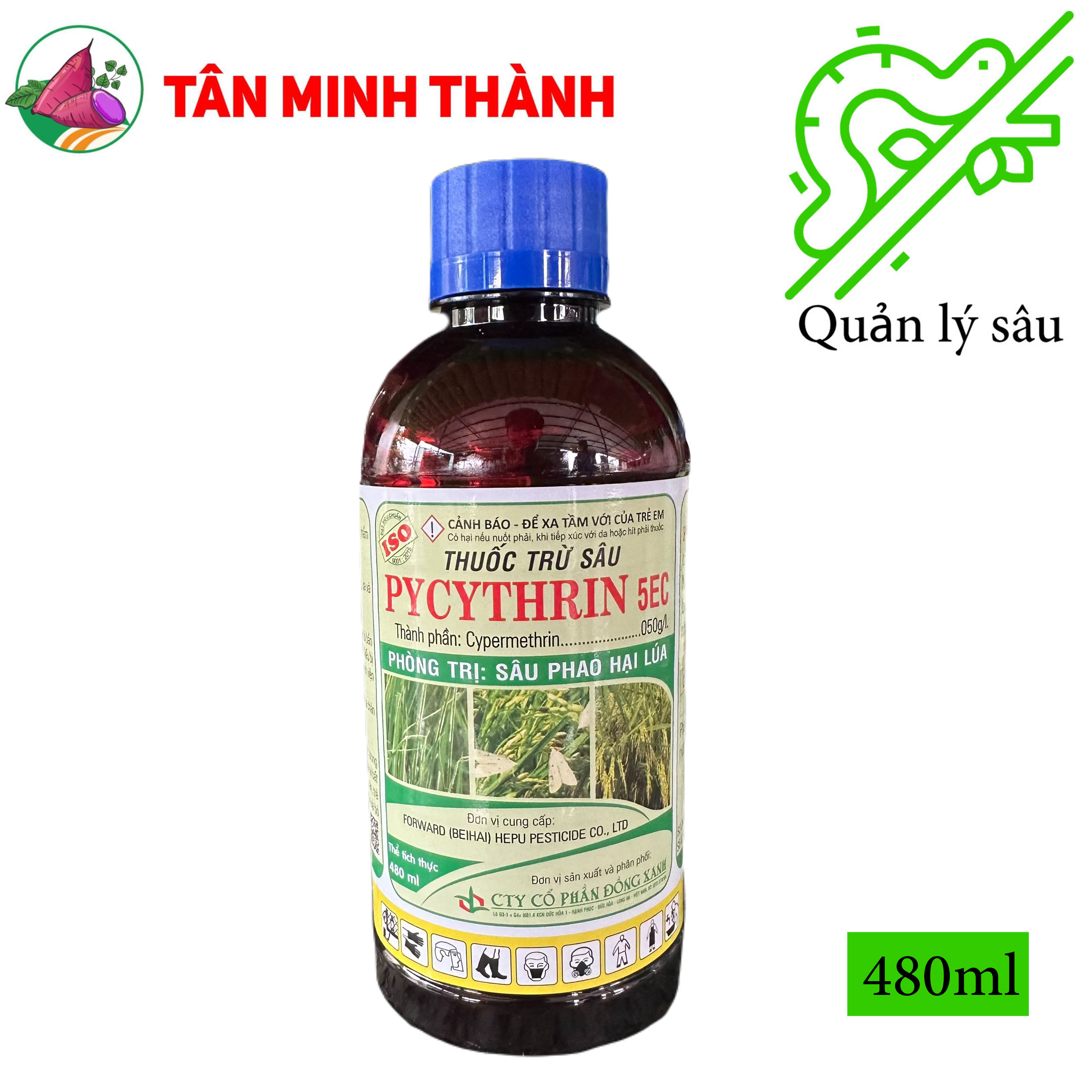 Pycythrin 5EC - Thuốc đặc trị sâu phao, bọ xít, sâu cuốn lá