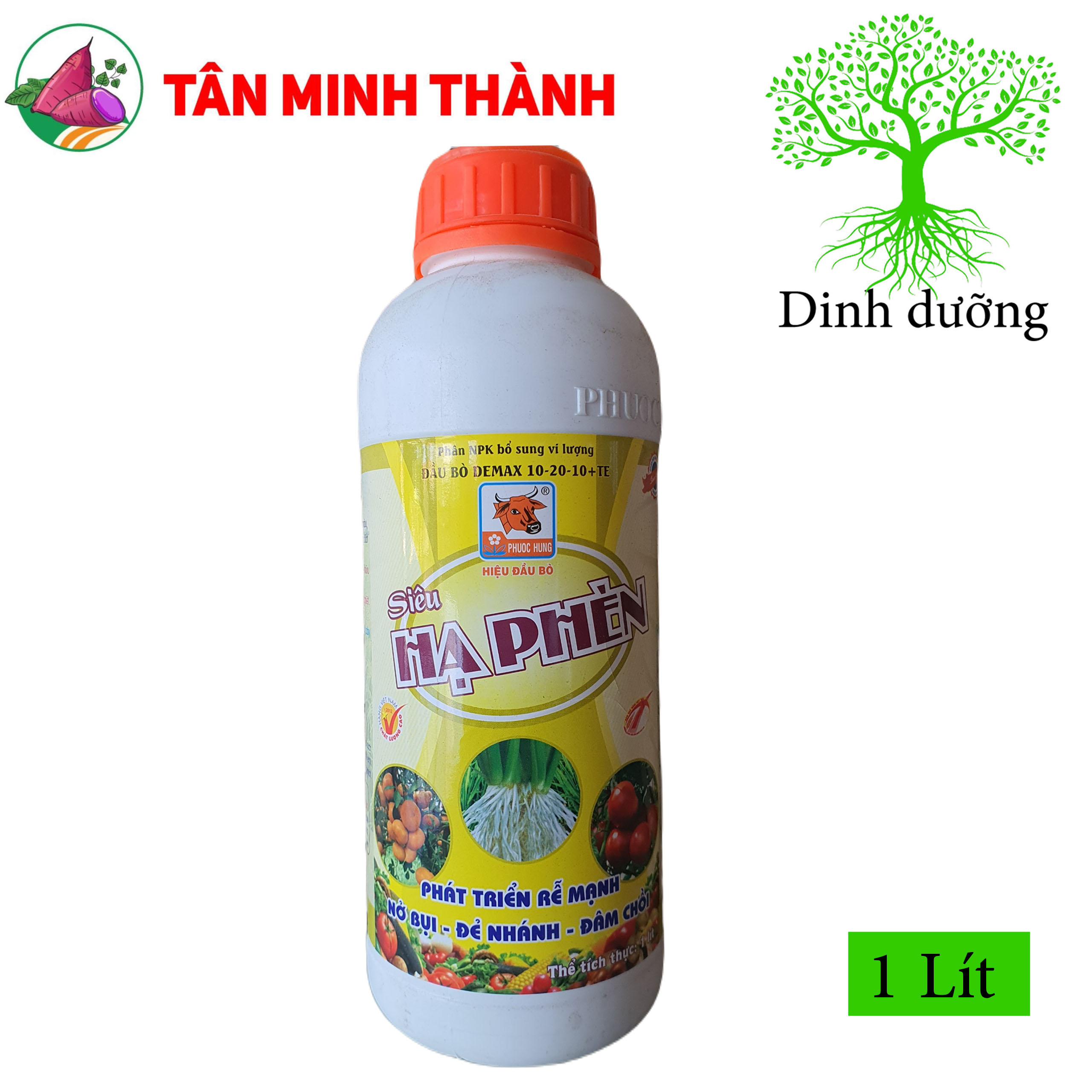 Siêu Hạ Phèn - Đầu Bò - Thuốc giải độc phèn, ra rễ cực mạnh, nở bụi, đẻ nhánh, đâm chồi