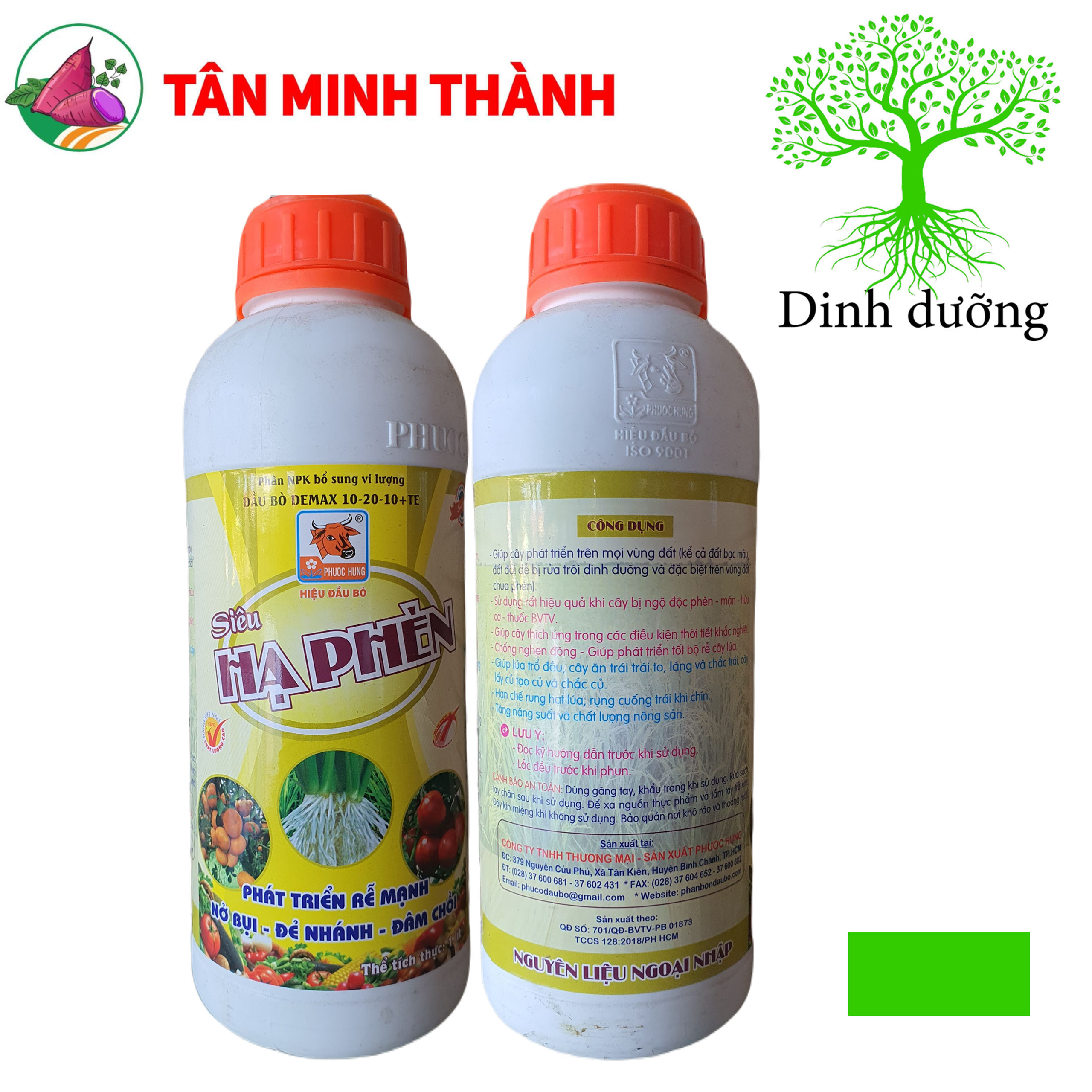 Siêu Hạ Phèn - Đầu Bò - Thuốc giải độc phèn, ra rễ cực mạnh, nở bụi, đẻ nhánh, đâm chồi