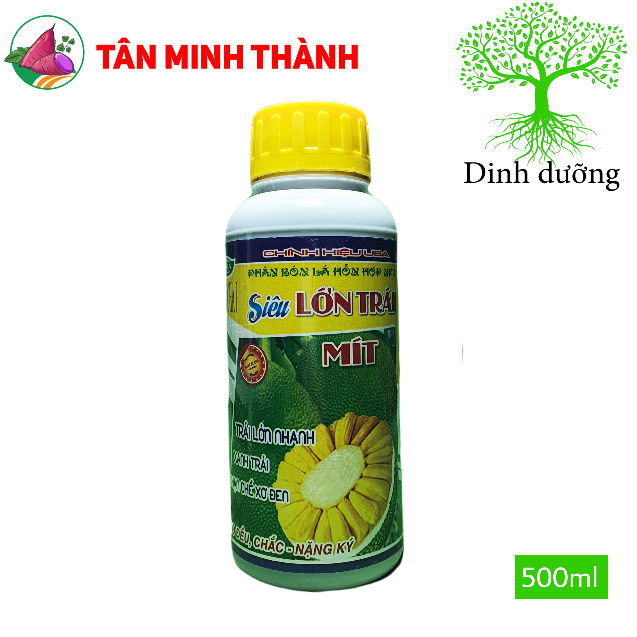 Siêu Lớn Trái Mít -Thuốc lớn trái nhanh, xanh trái, hạn chế sơ đen, to đều, chắc múi, nặng ký, nở gai, giảm méo trái