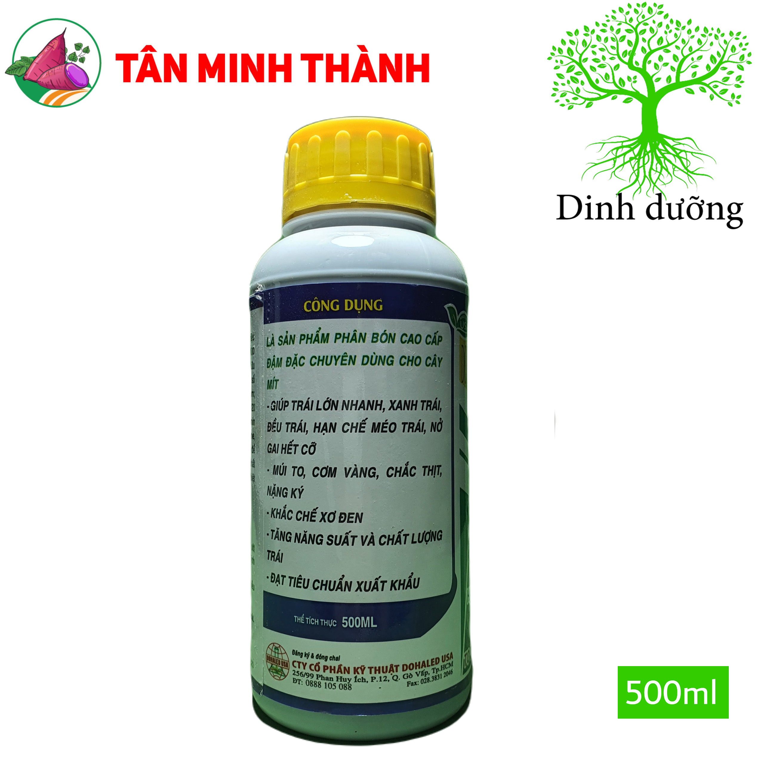 Siêu Lớn Trái Mít -Thuốc lớn trái nhanh, xanh trái, hạn chế sơ đen, to đều, chắc múi, nặng ký, nở gai, giảm méo trái