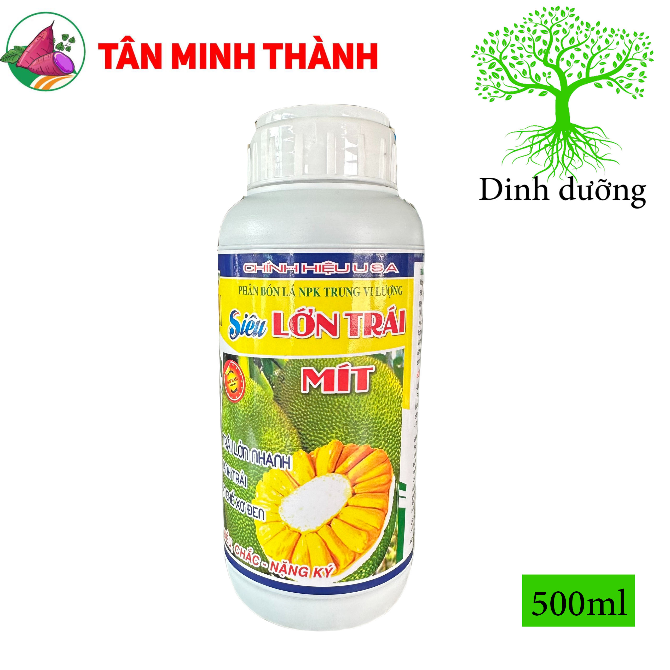 Siêu Lớn Trái Mít -Thuốc lớn trái nhanh, xanh trái, hạn chế sơ đen, to đều, chắc múi, nặng ký, nở gai, giảm méo trái