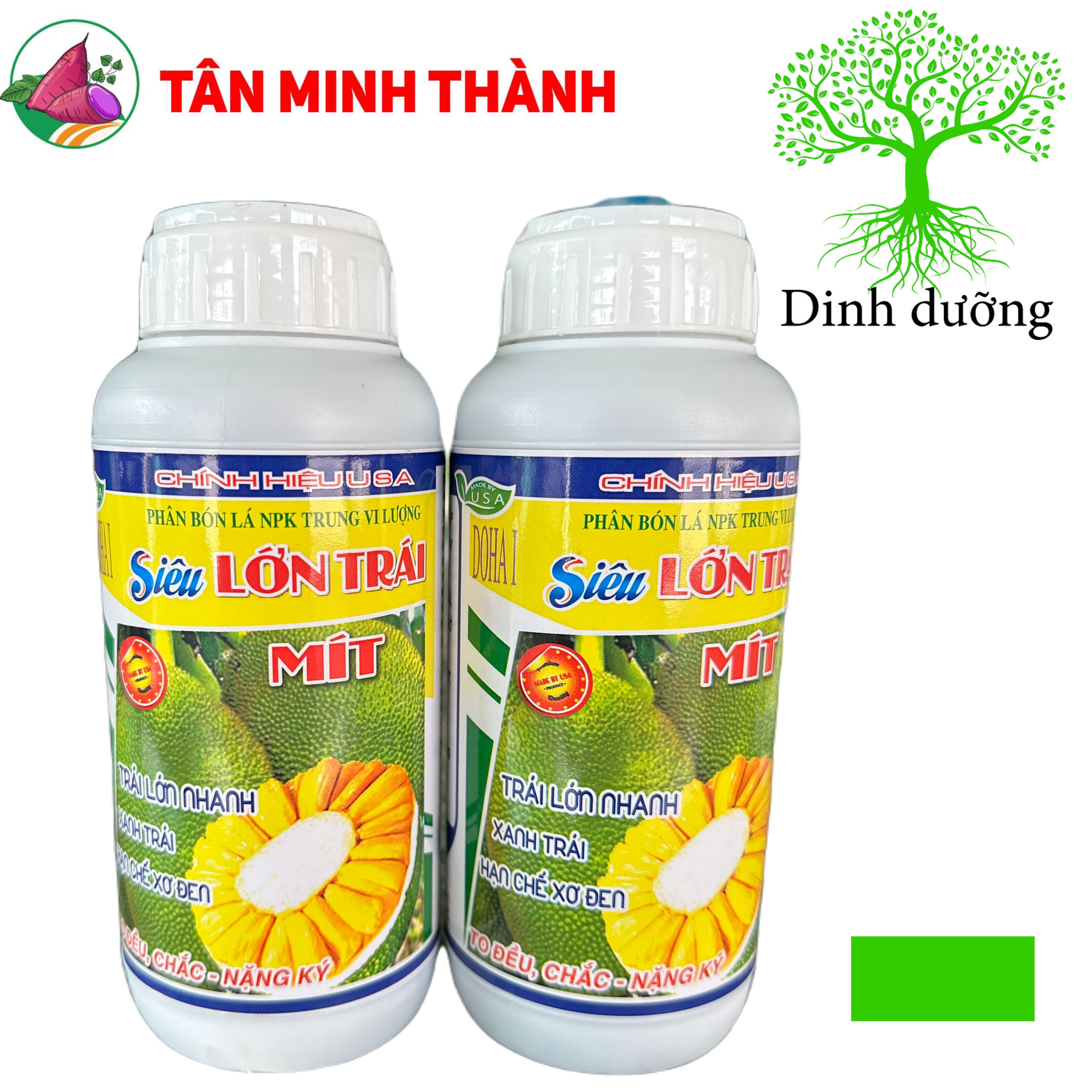 Siêu Lớn Trái Mít -Thuốc lớn trái nhanh, xanh trái, hạn chế sơ đen, to đều, chắc múi, nặng ký, nở gai, giảm méo trái