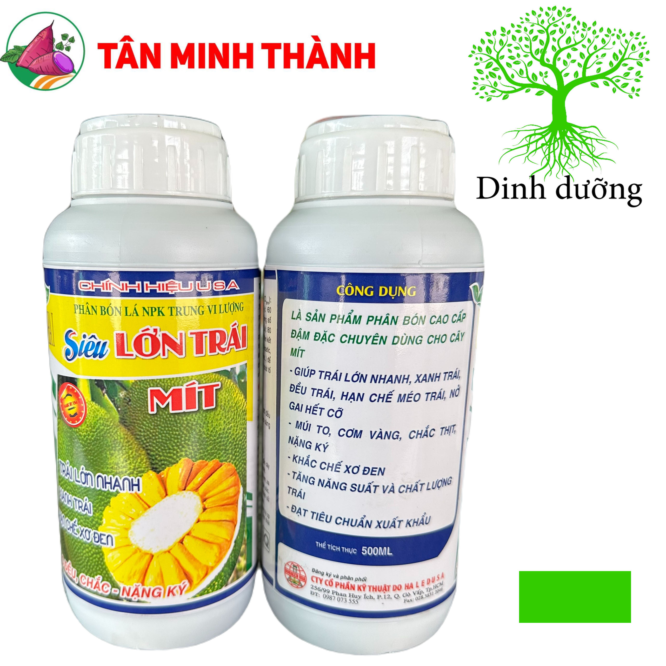 Siêu Lớn Trái Mít -Thuốc lớn trái nhanh, xanh trái, hạn chế sơ đen, to đều, chắc múi, nặng ký, nở gai, giảm méo trái