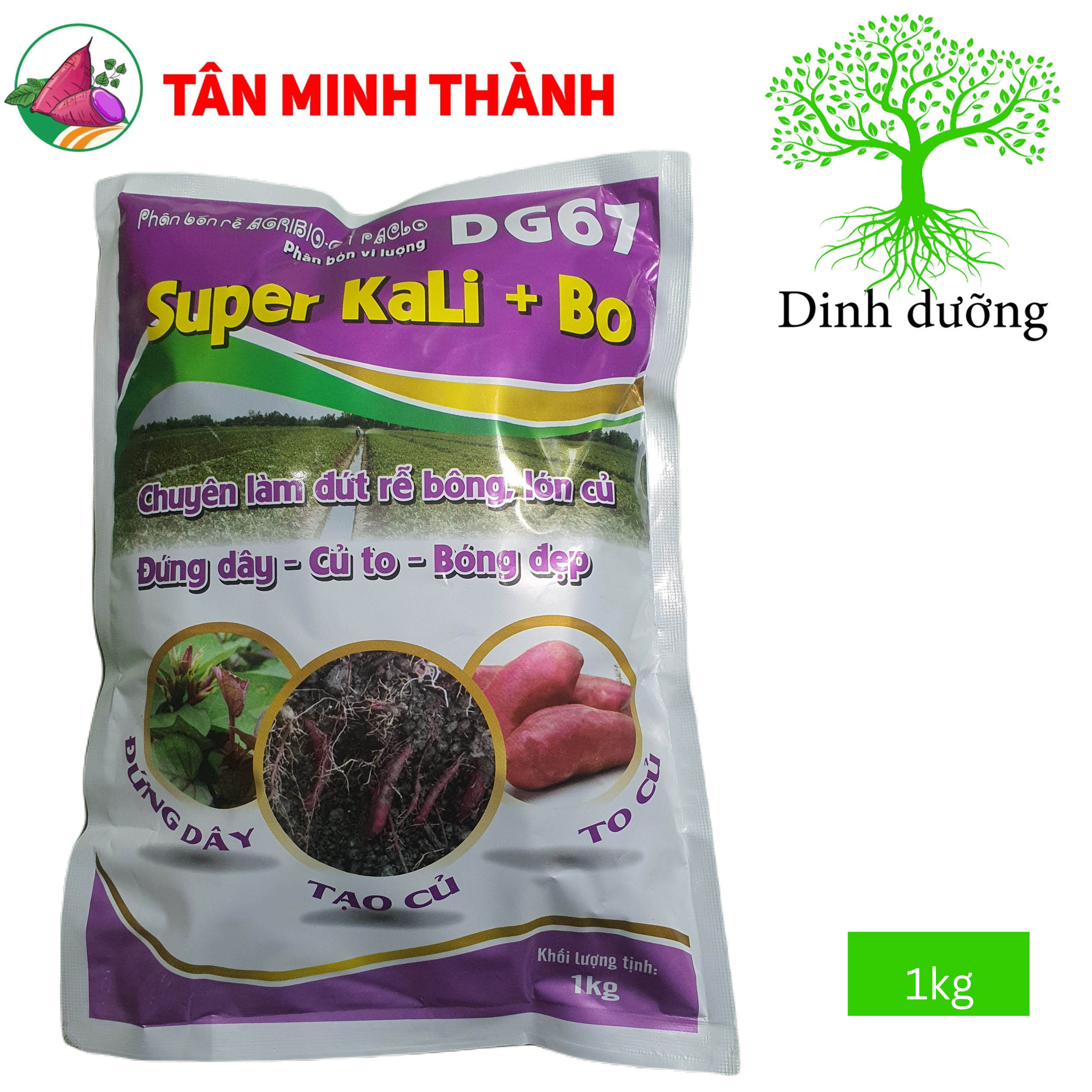 Super Kali Bo DG67 - Thuốc giúp Khoai Lang đứng dây, xuống củ, to củ, bóng da, dứt rễ bông, hãm đọt