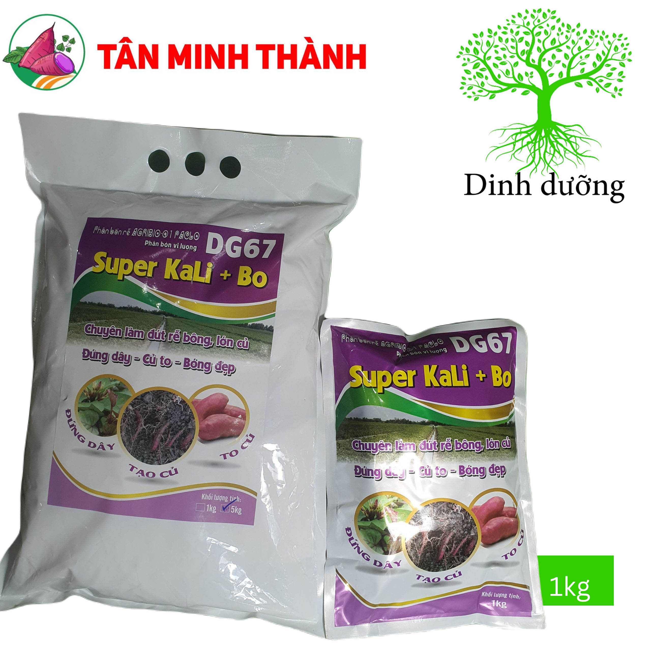 Super Kali Bo DG67 - Thuốc giúp Khoai Lang đứng dây, xuống củ, to củ, bóng da, dứt rễ bông, hãm đọt