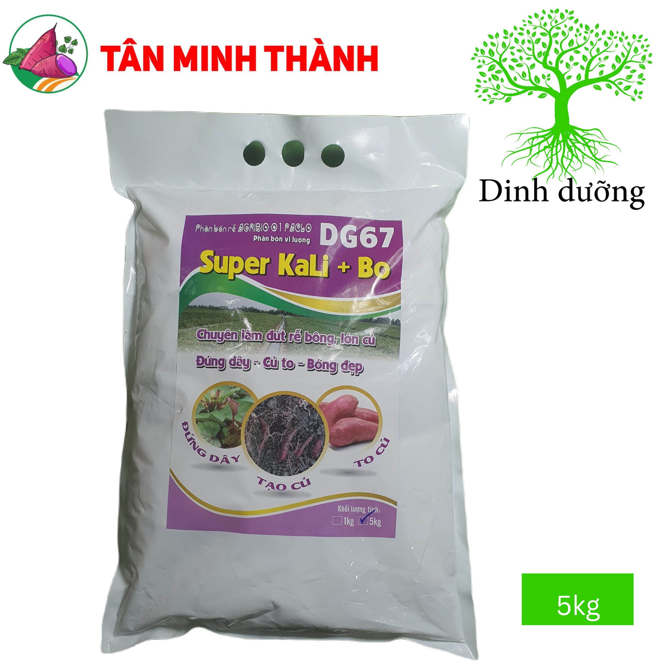 Super Kali Bo DG67 - Thuốc giúp Khoai Lang đứng dây, xuống củ, to củ, bóng da, dứt rễ bông, hãm đọt