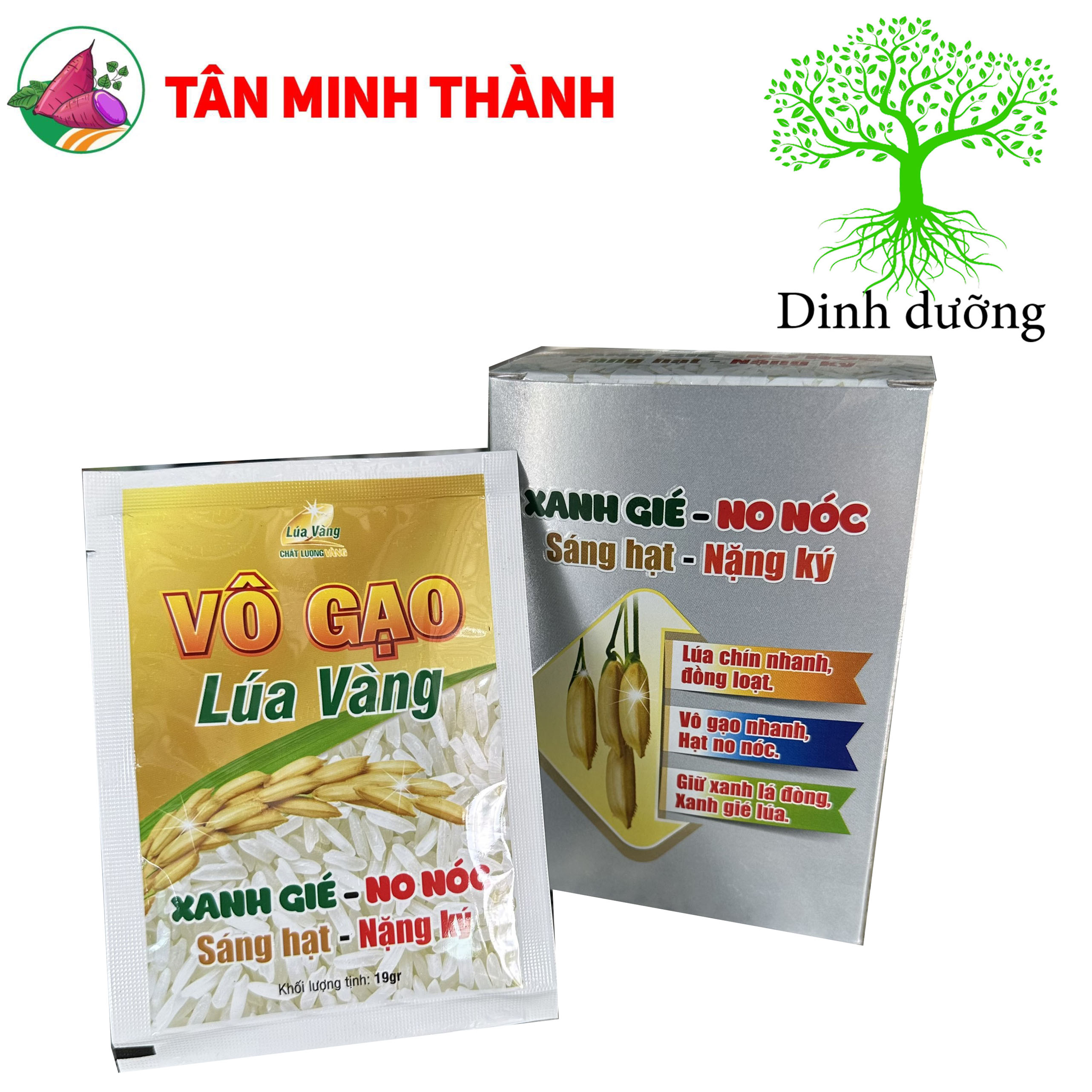 Vô Gạo Lúa Vàng - Thuốc siêu to hạt, xanh lá đồng, sáng hạt, nặng ký