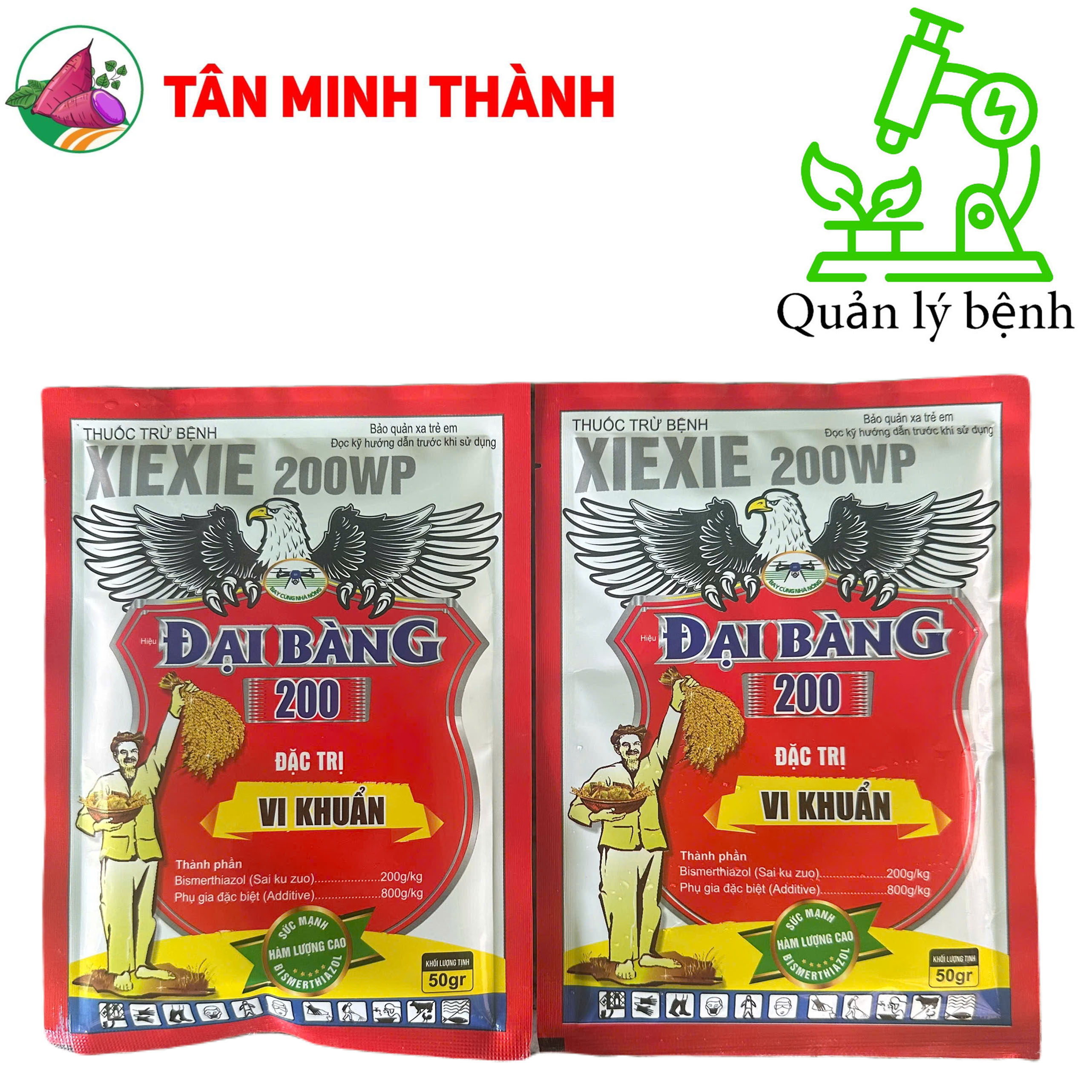 Xiexie 200SL Đại Bàng - Thuốc đặc trị vi khuẩn gây cháy bìa lá, bạc lá, cháy lá, thối nhũn, héo xanh, thối củ