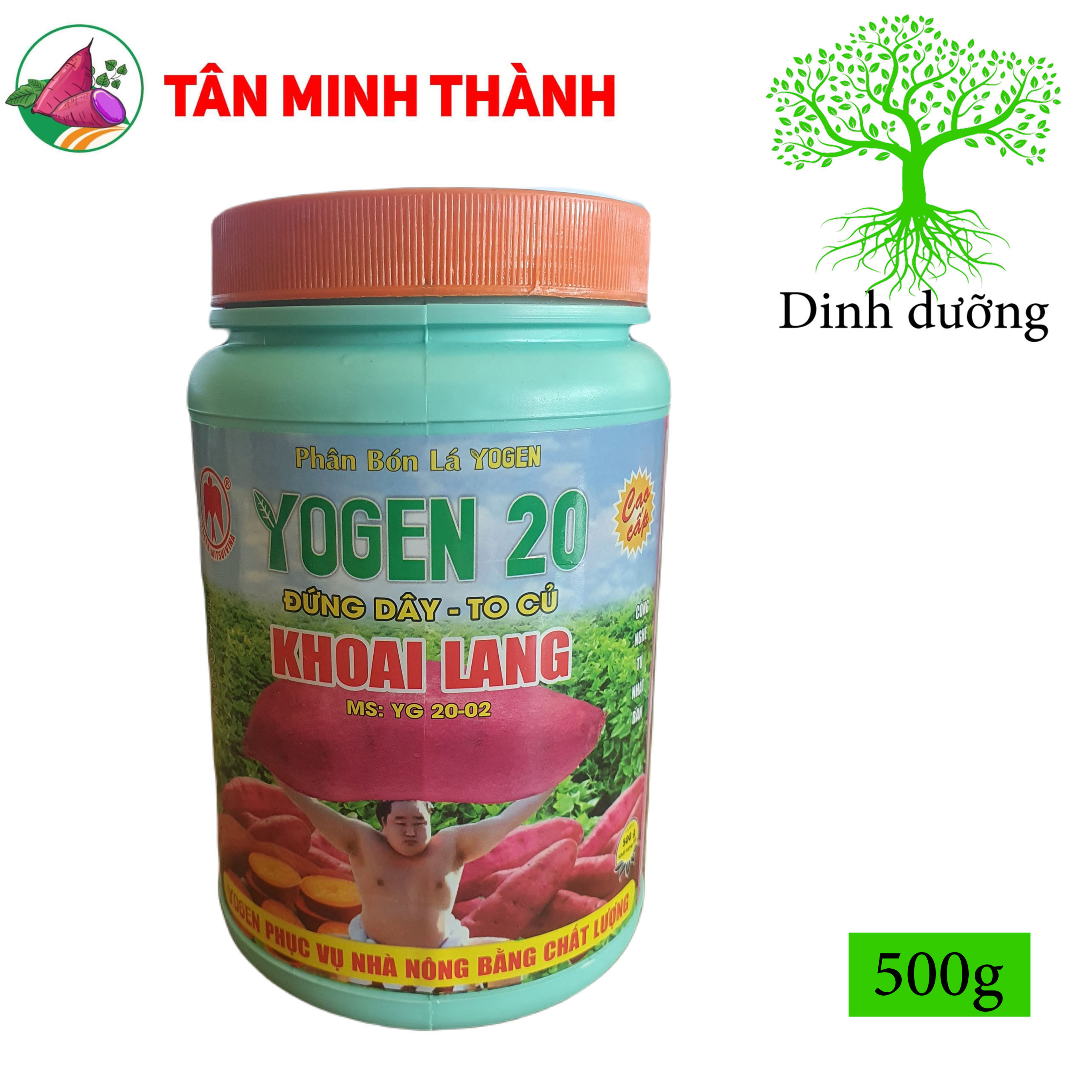 Yogen 20 Khoai Lang Sumo - Thuốc dứng dây, to củ, lớn phì củ nhanh, nặng ký, lên màu